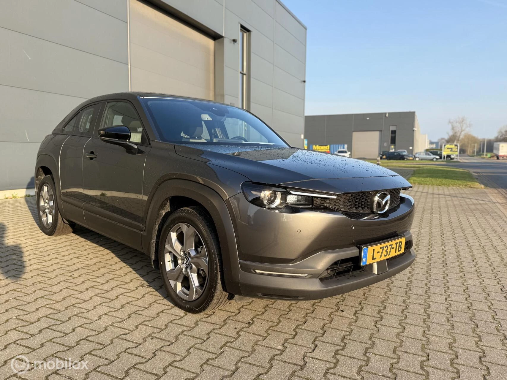 Hoofdafbeelding Mazda MX-30