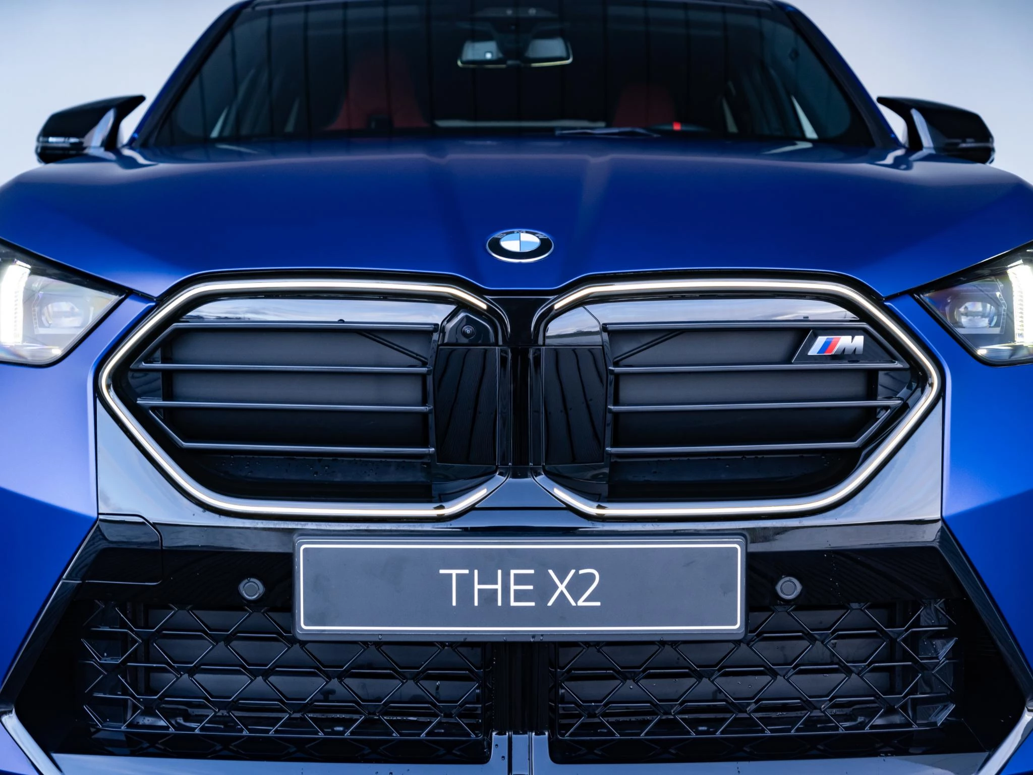 Hoofdafbeelding BMW X2