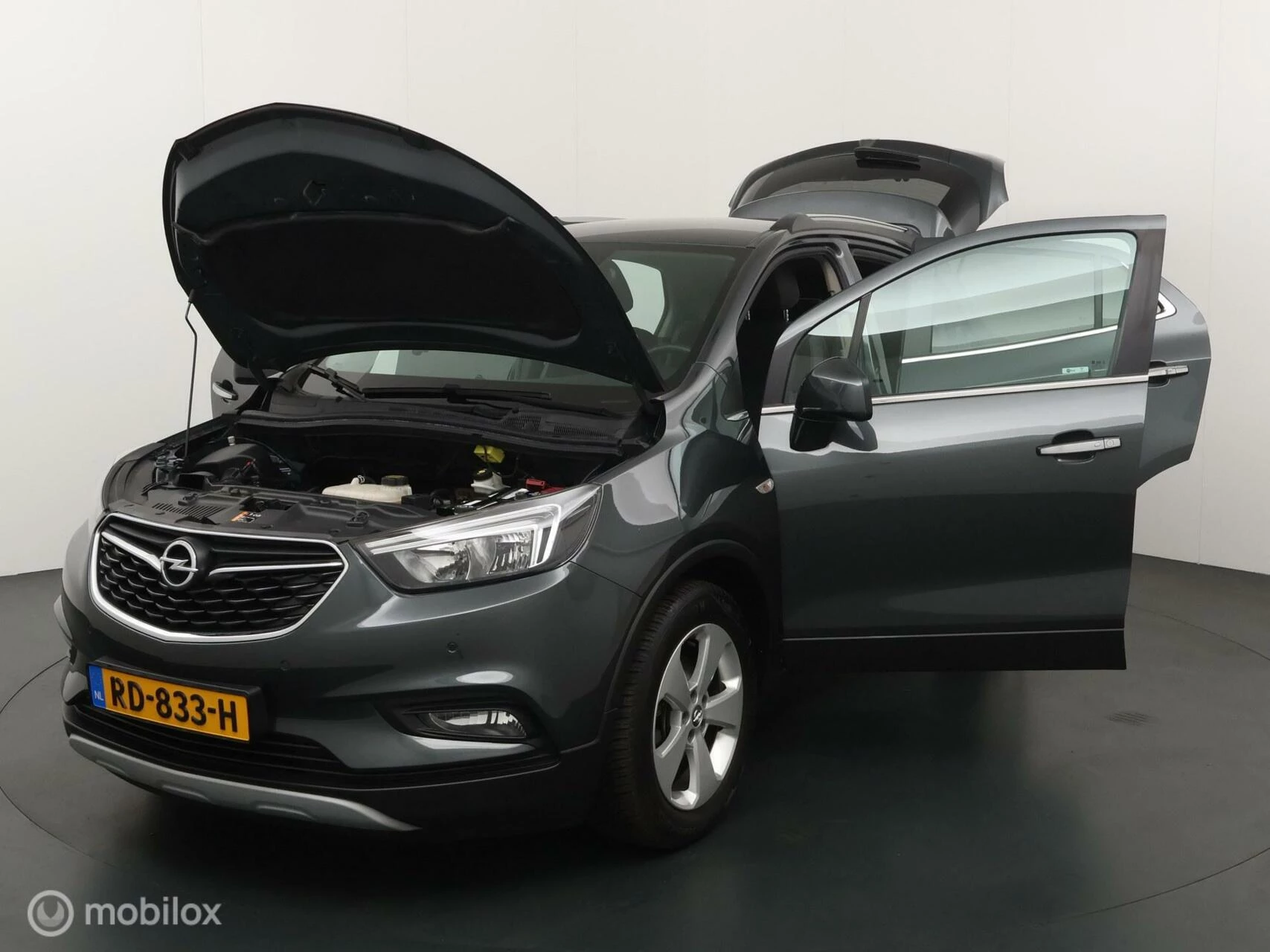 Hoofdafbeelding Opel Mokka X