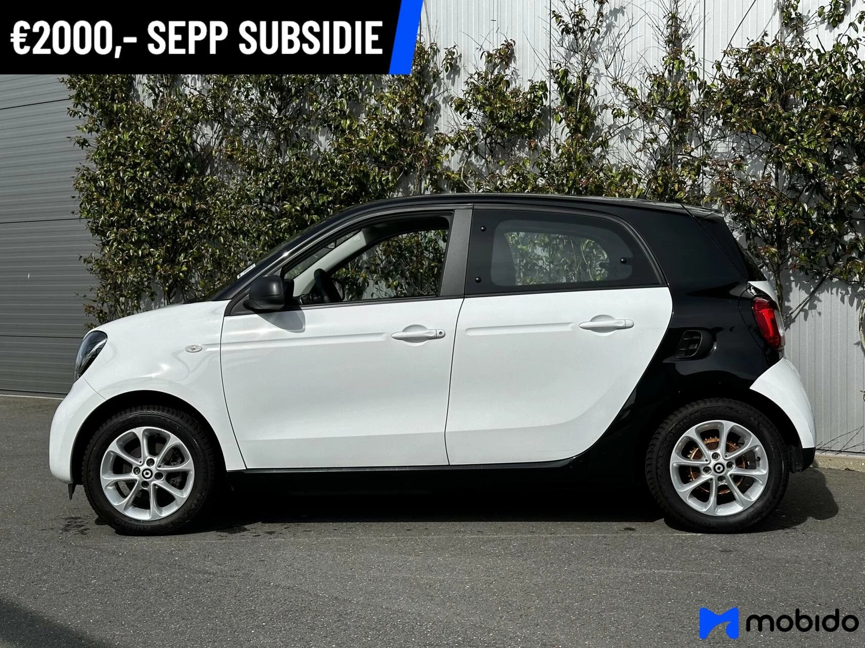 Hoofdafbeelding Smart Forfour