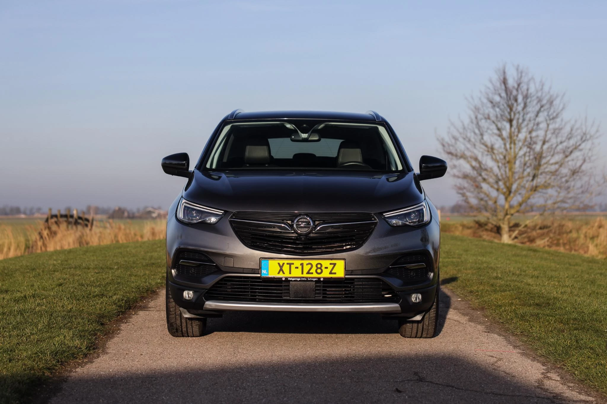 Hoofdafbeelding Opel Grandland X