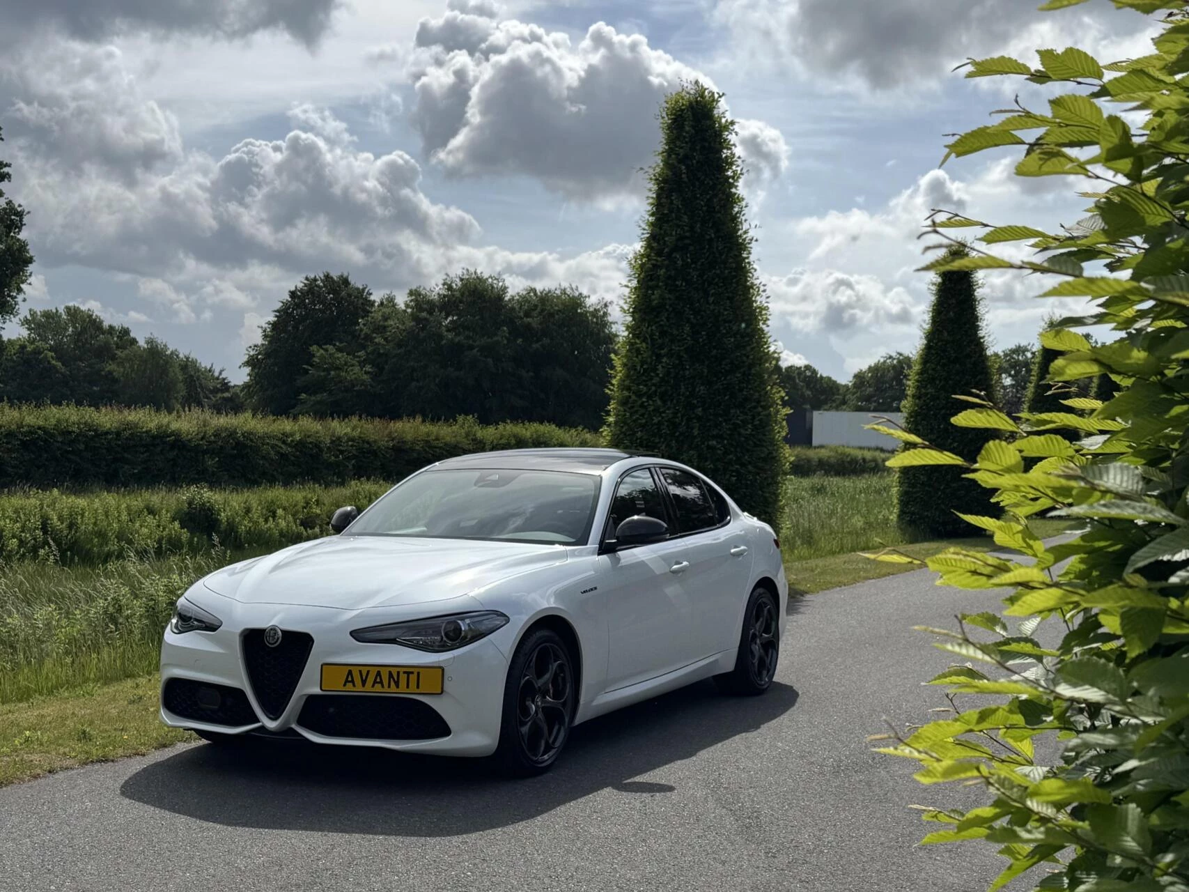 Hoofdafbeelding Alfa Romeo Giulia