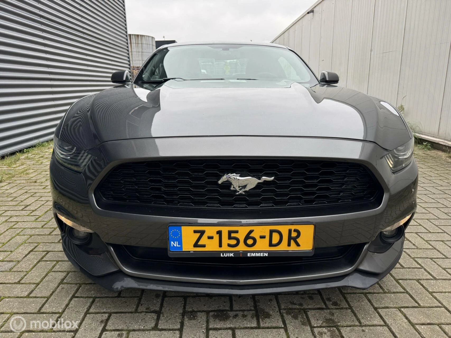 Hoofdafbeelding Ford Mustang