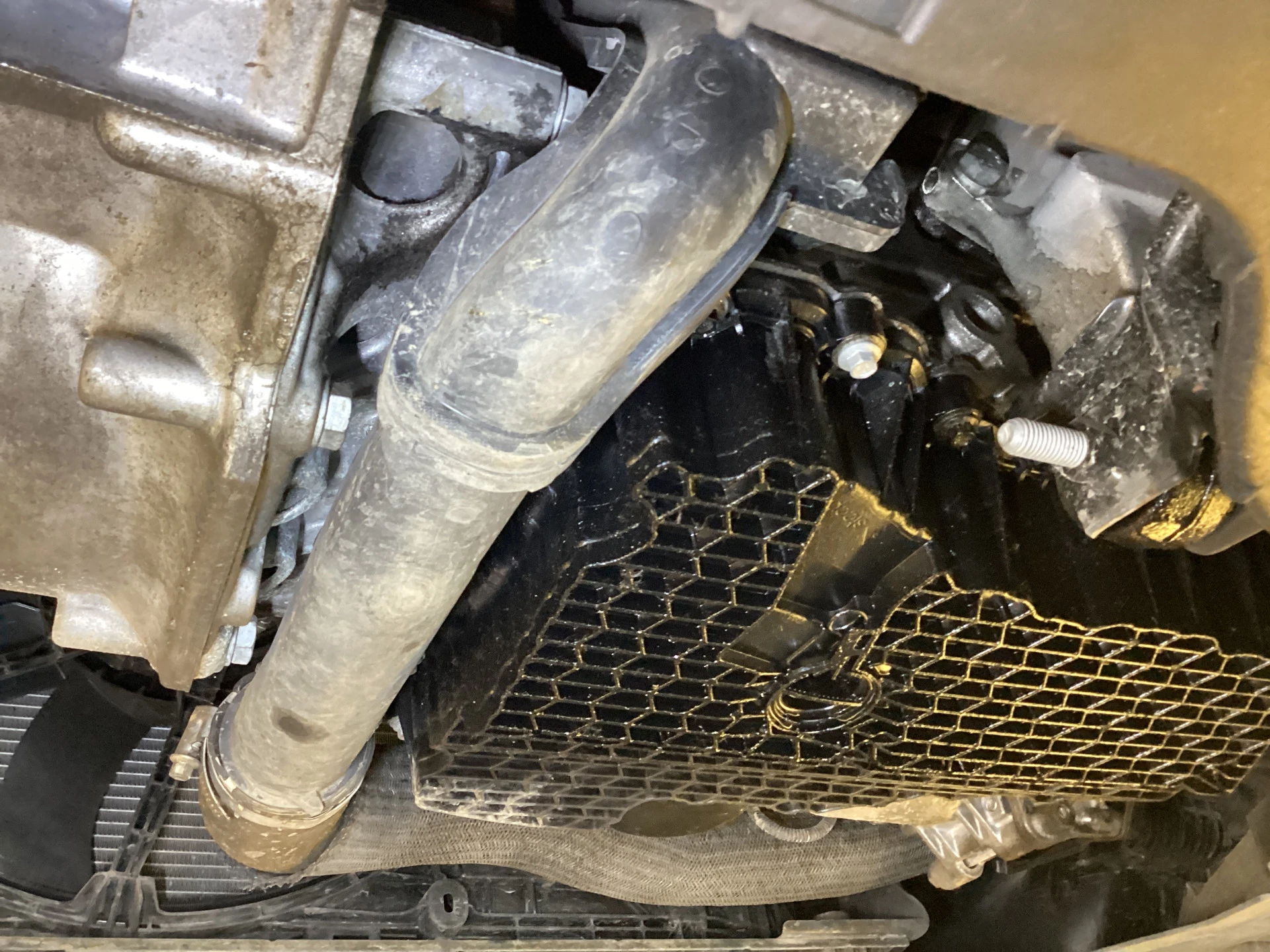 Hoofdafbeelding Fiat Scudo