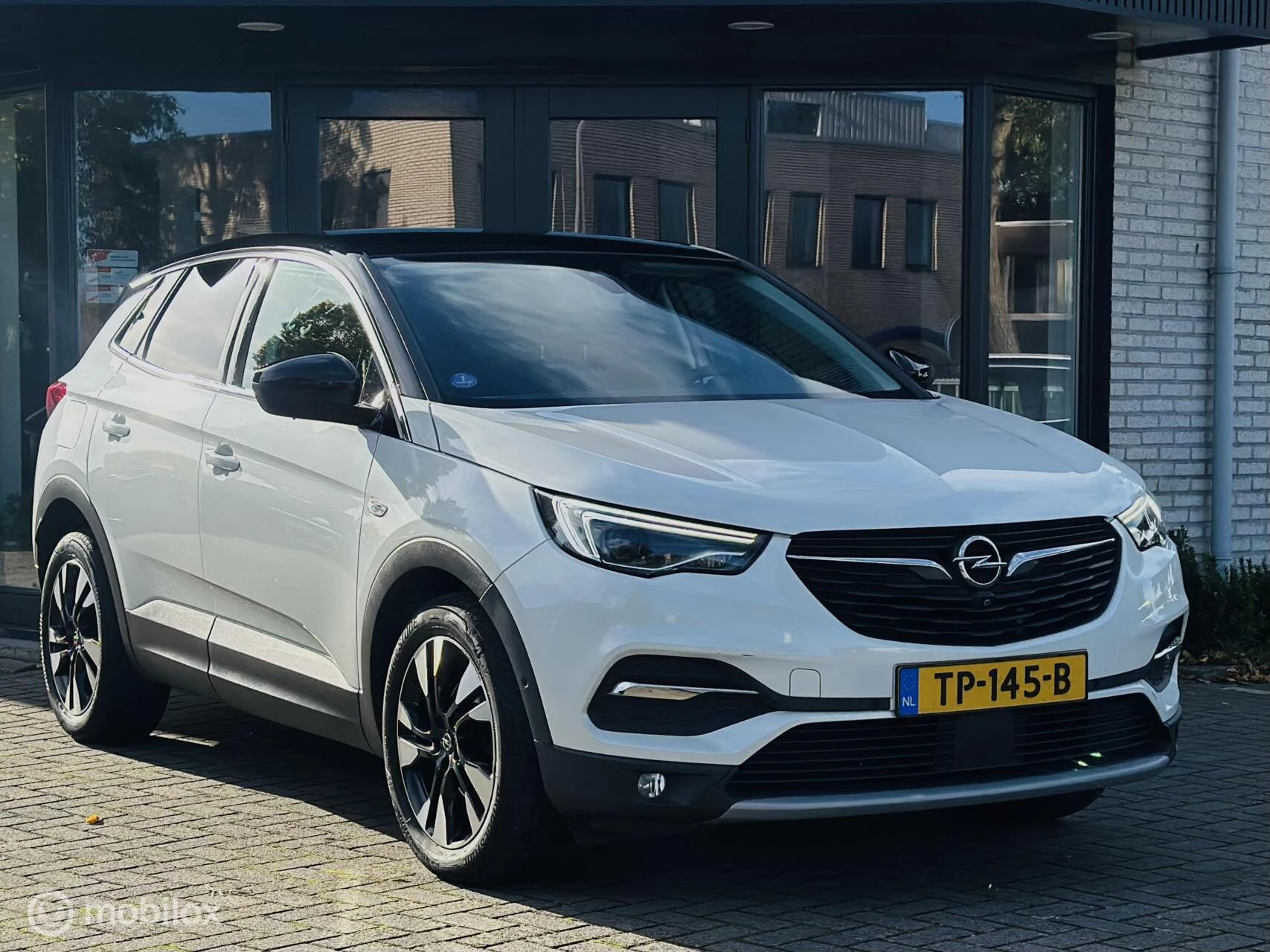 Hoofdafbeelding Opel Grandland X