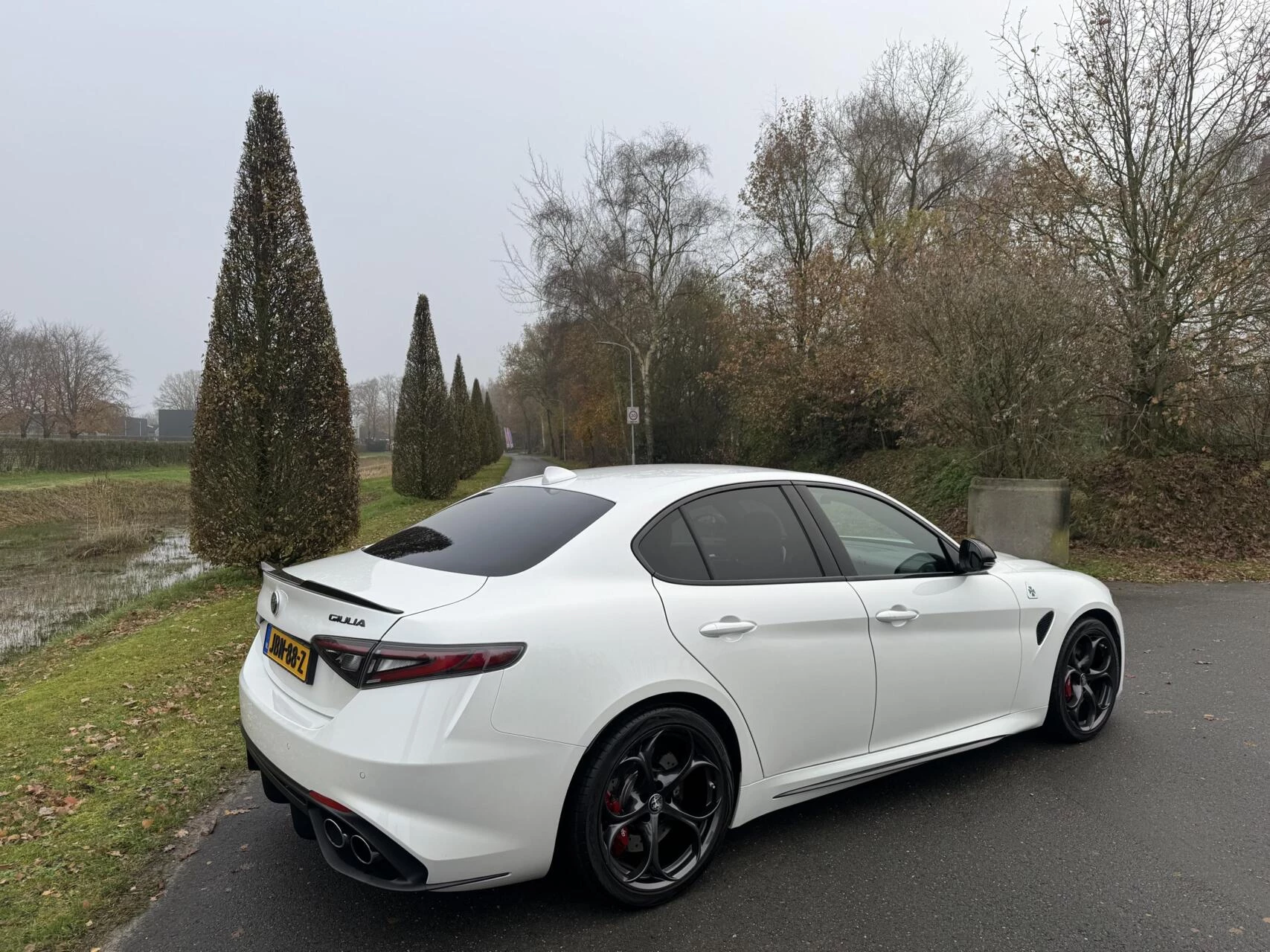 Hoofdafbeelding Alfa Romeo Giulia