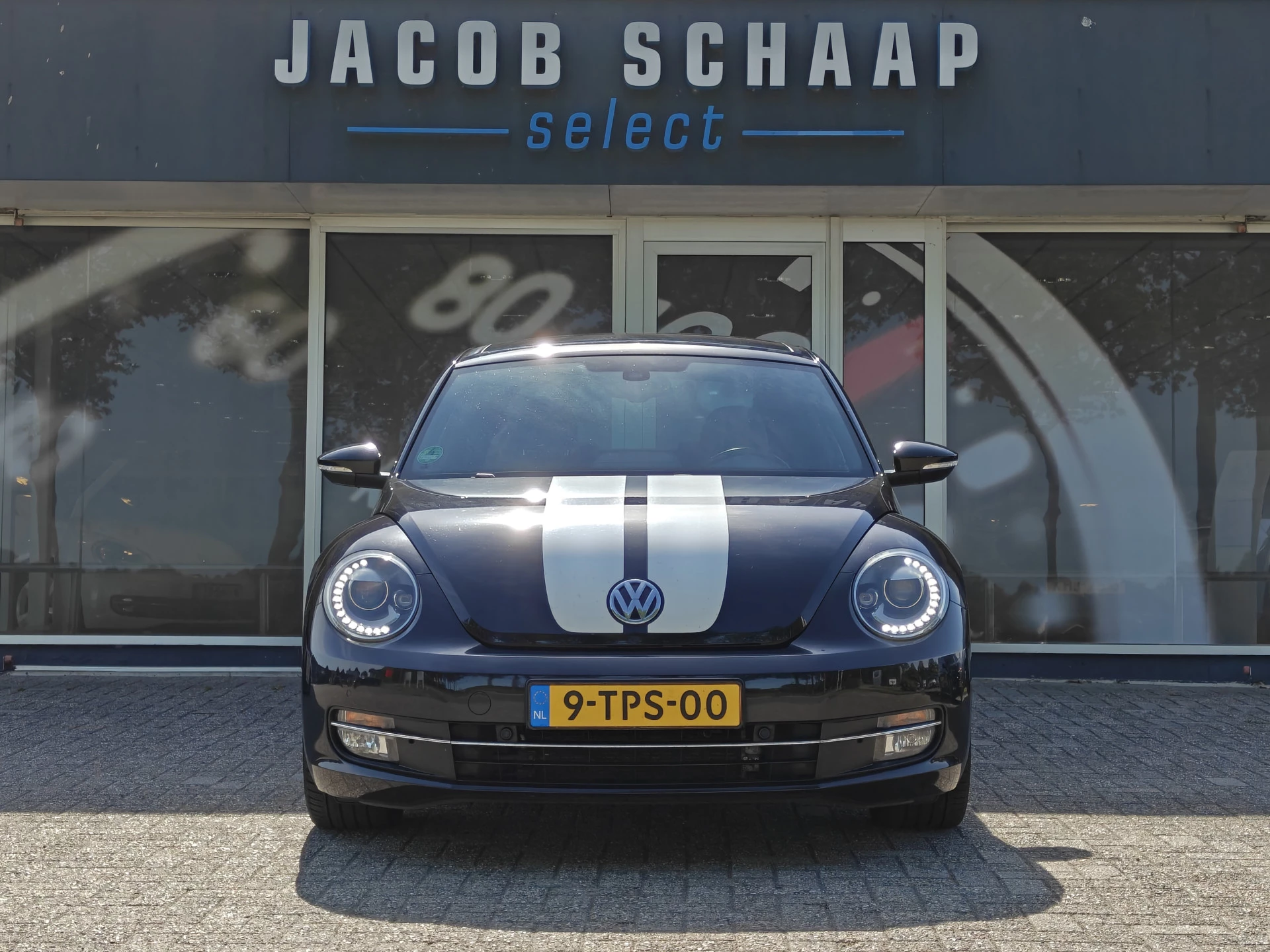 Hoofdafbeelding Volkswagen Beetle