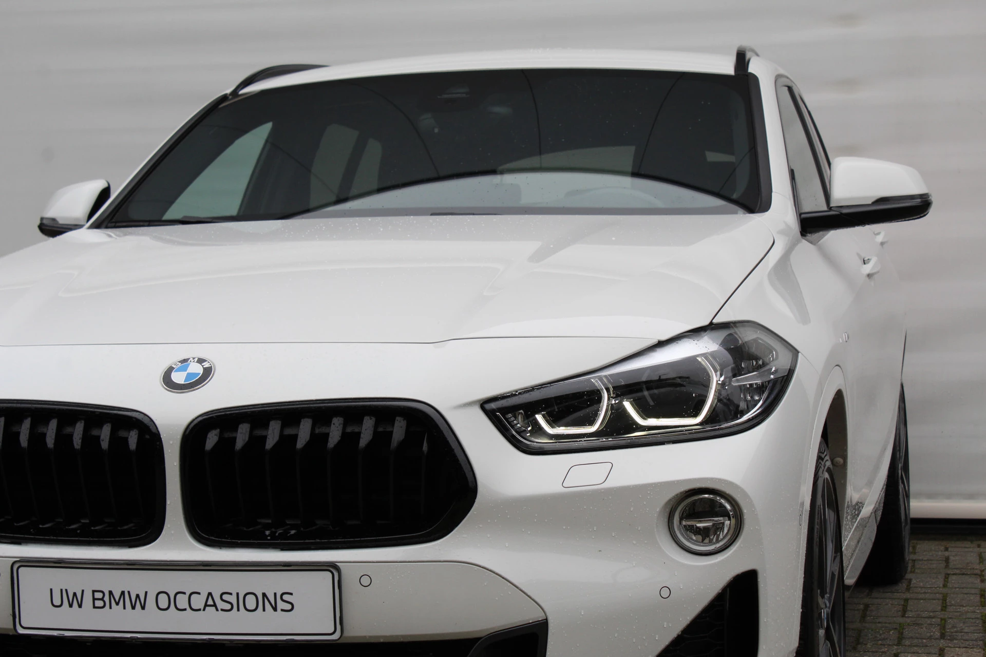 Hoofdafbeelding BMW X2