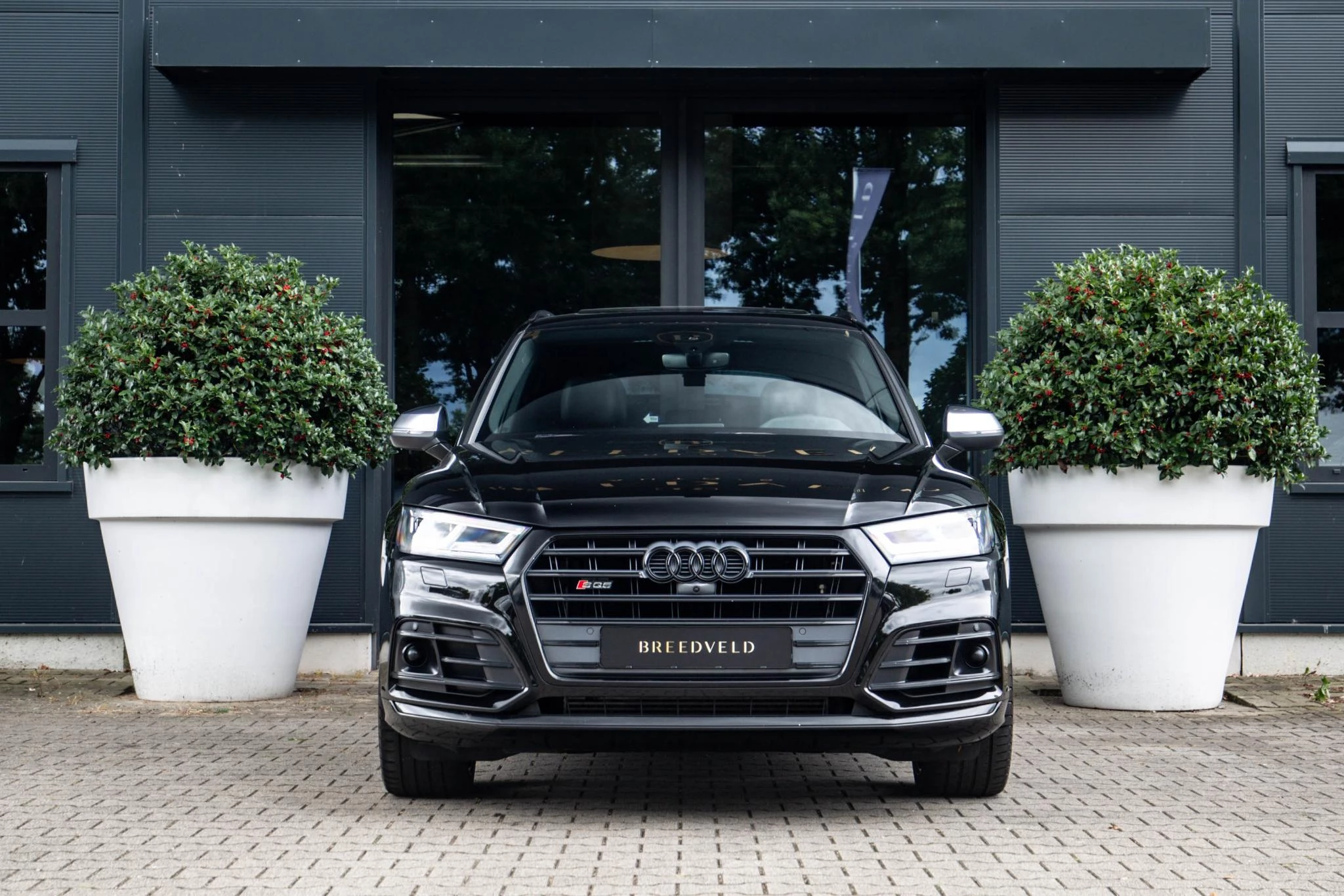 Hoofdafbeelding Audi SQ5