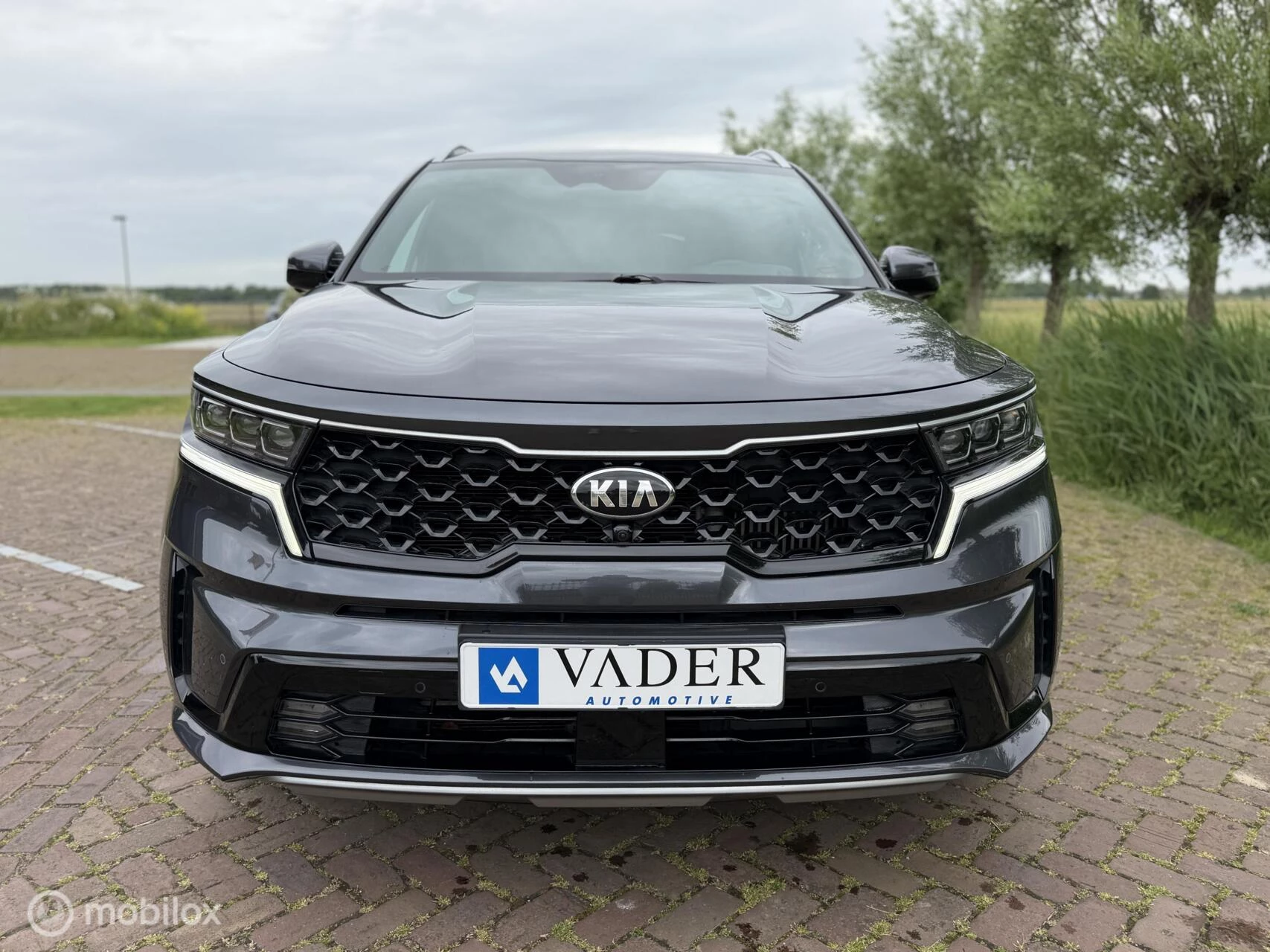 Hoofdafbeelding Kia Sorento