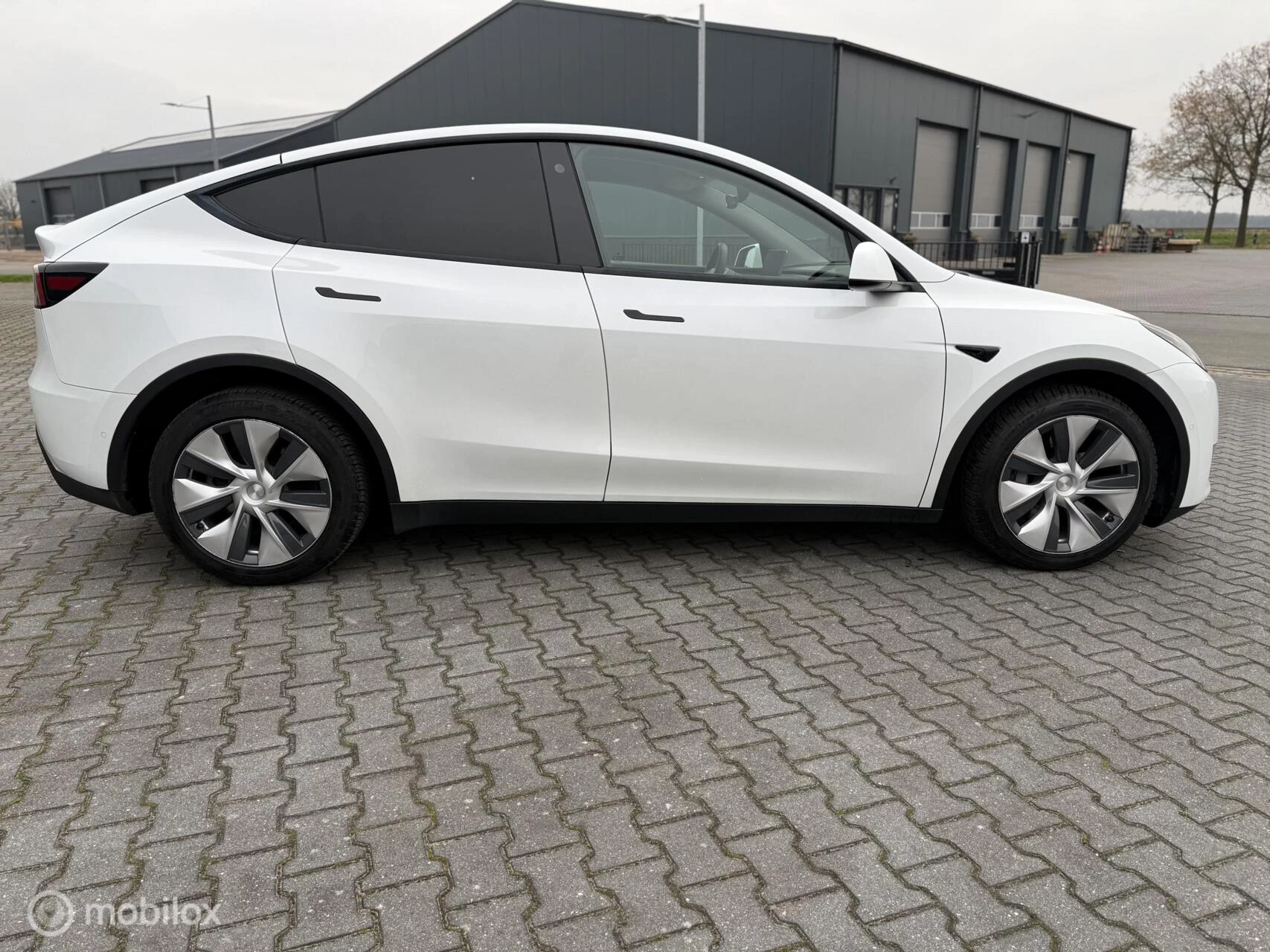 Hoofdafbeelding Tesla Model Y