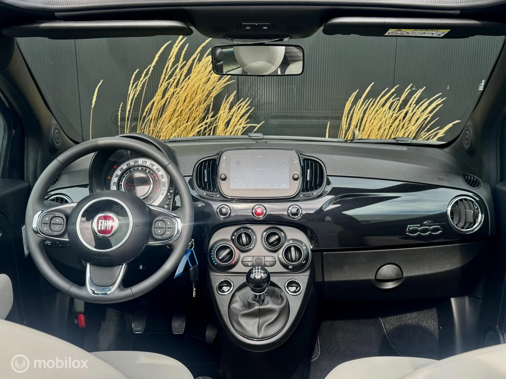 Hoofdafbeelding Fiat 500C