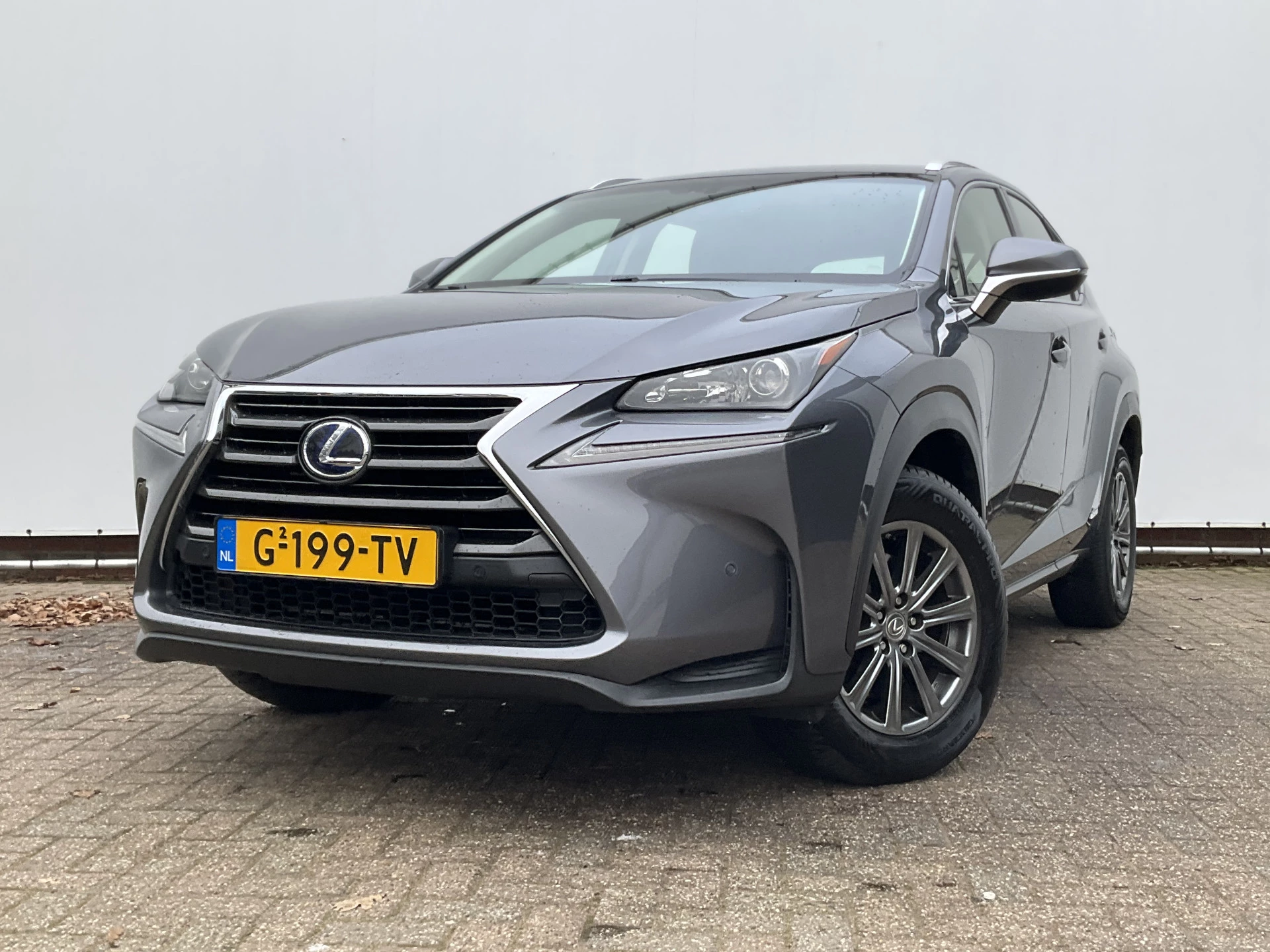Hoofdafbeelding Lexus NX