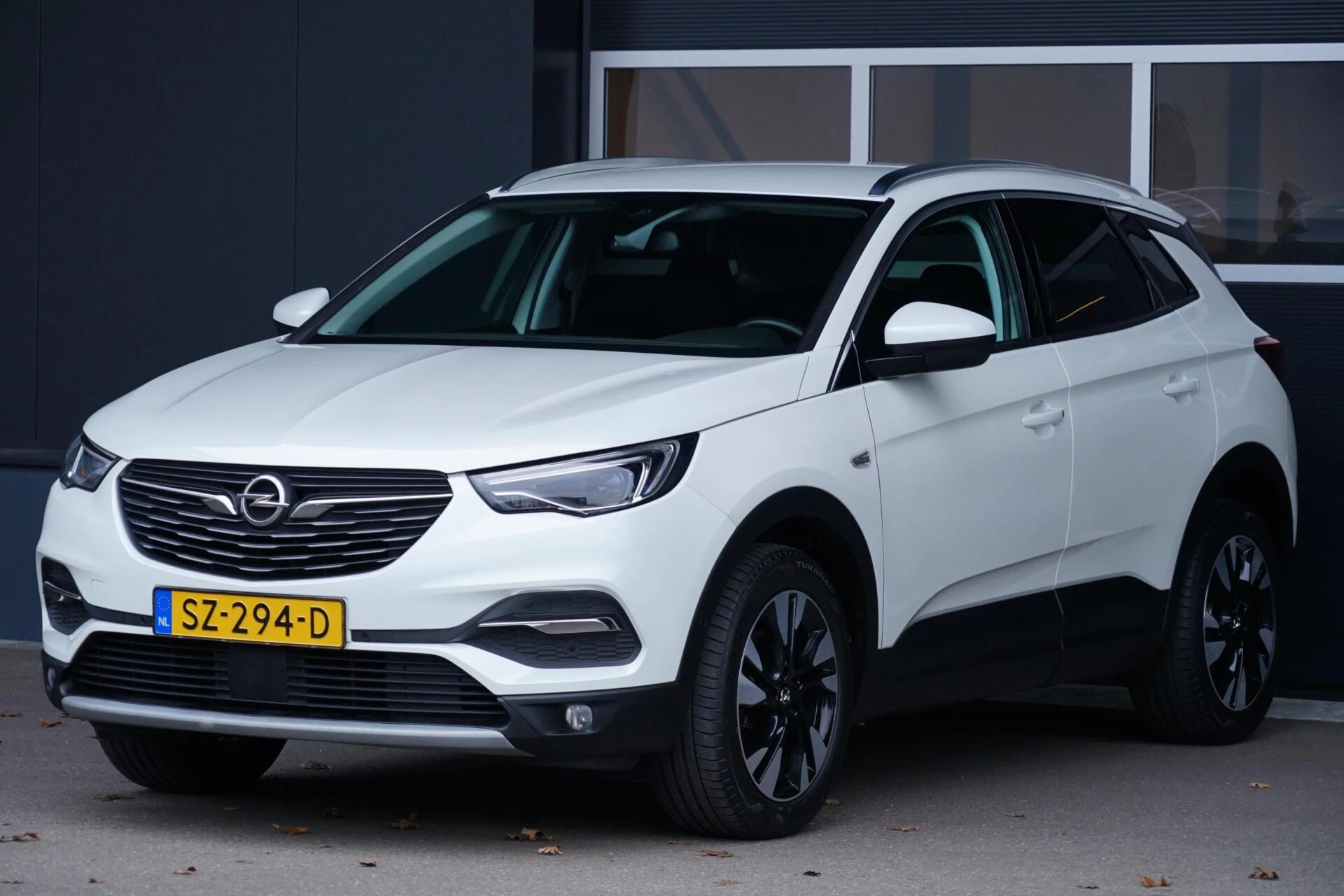 Hoofdafbeelding Opel Grandland X