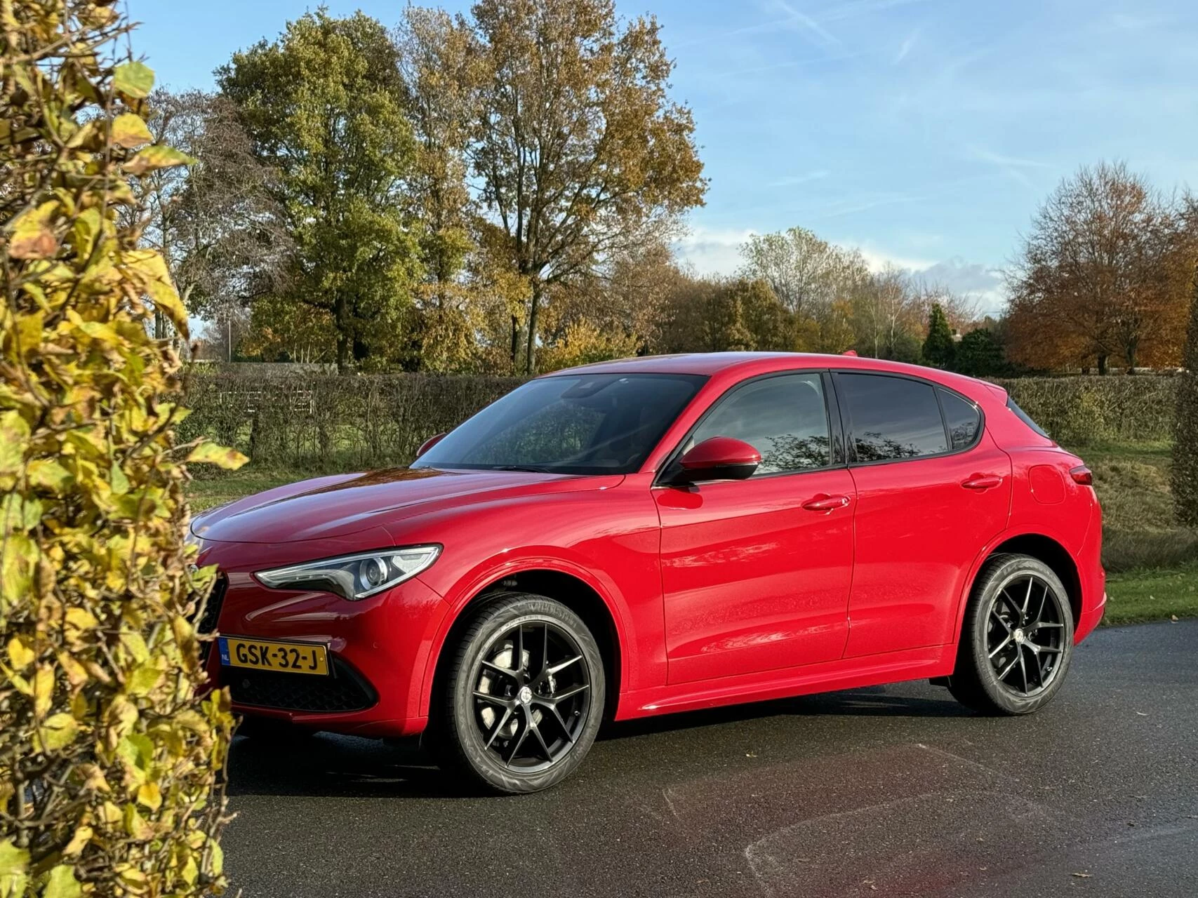 Hoofdafbeelding Alfa Romeo Stelvio