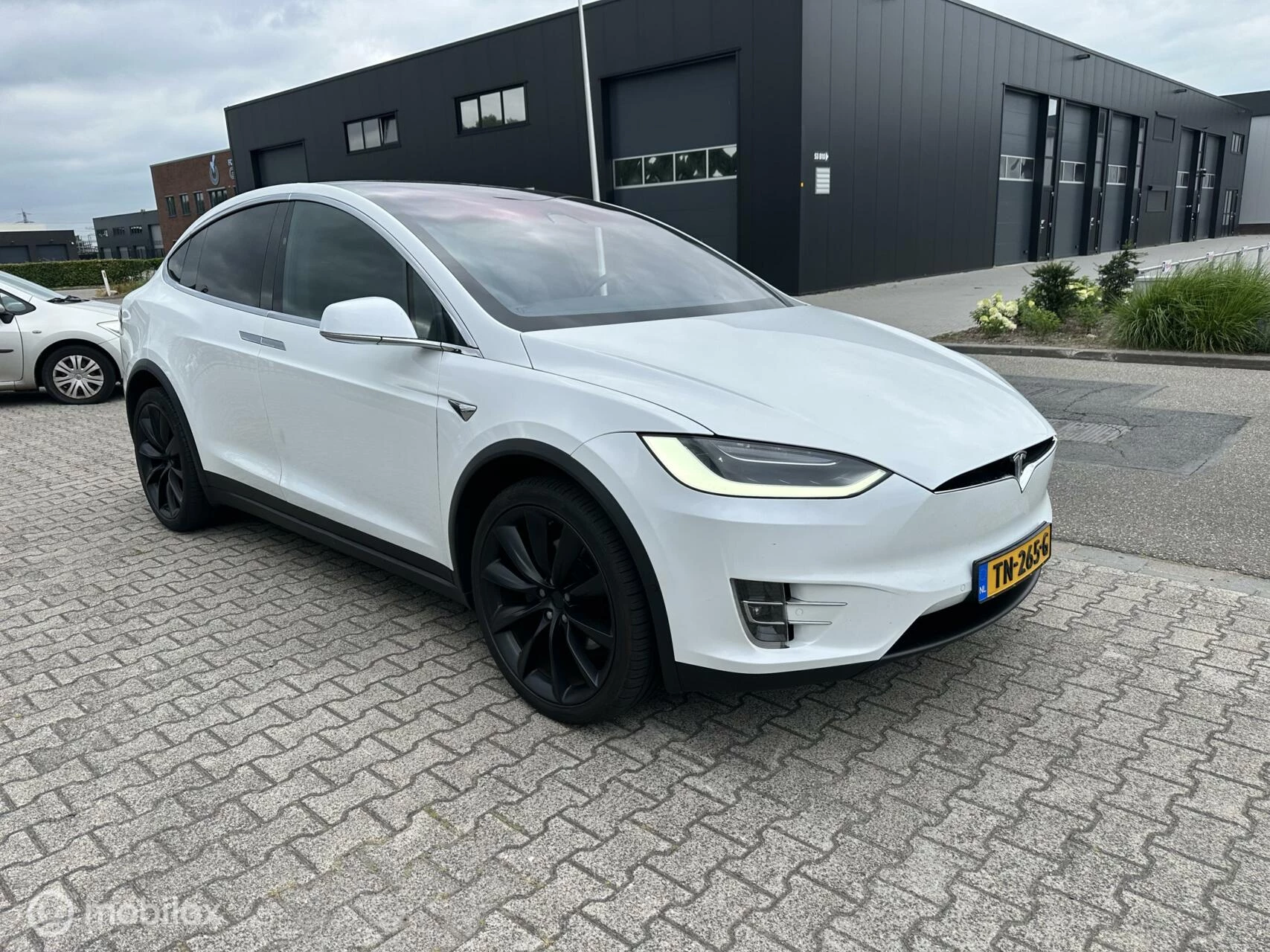 Hoofdafbeelding Tesla Model X