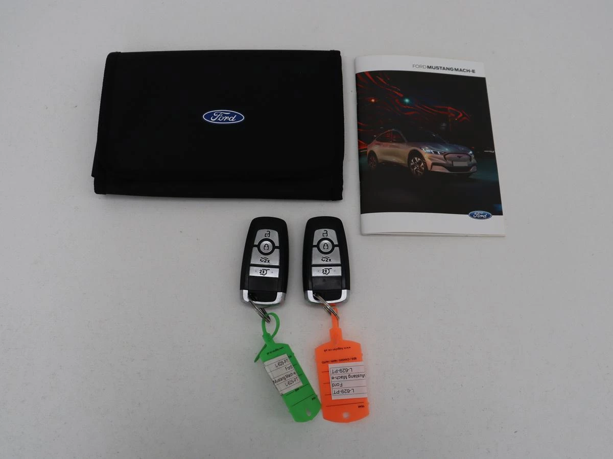 Hoofdafbeelding Ford Mustang Mach-E