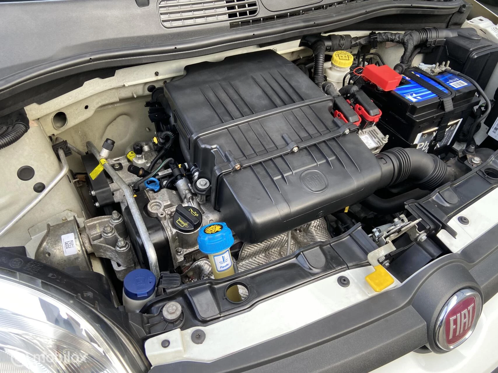 Hoofdafbeelding Fiat Panda