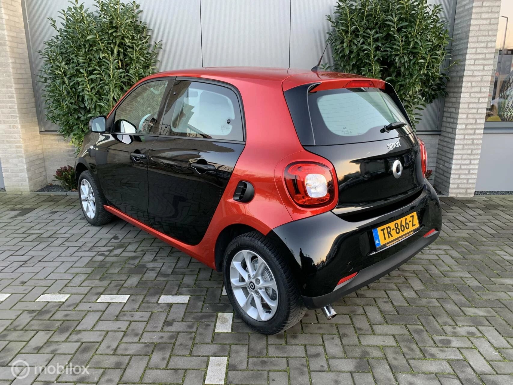 Hoofdafbeelding Smart Forfour