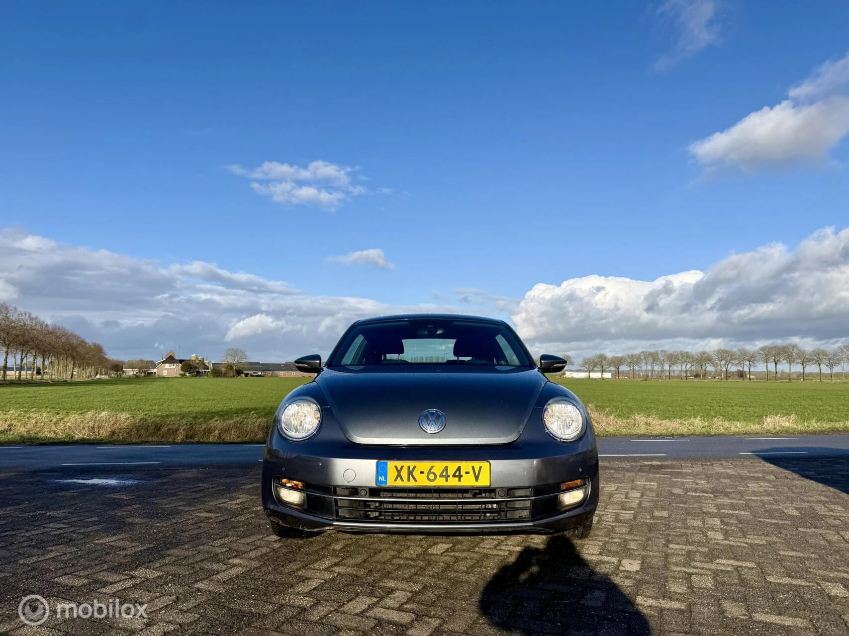 Hoofdafbeelding Volkswagen Beetle