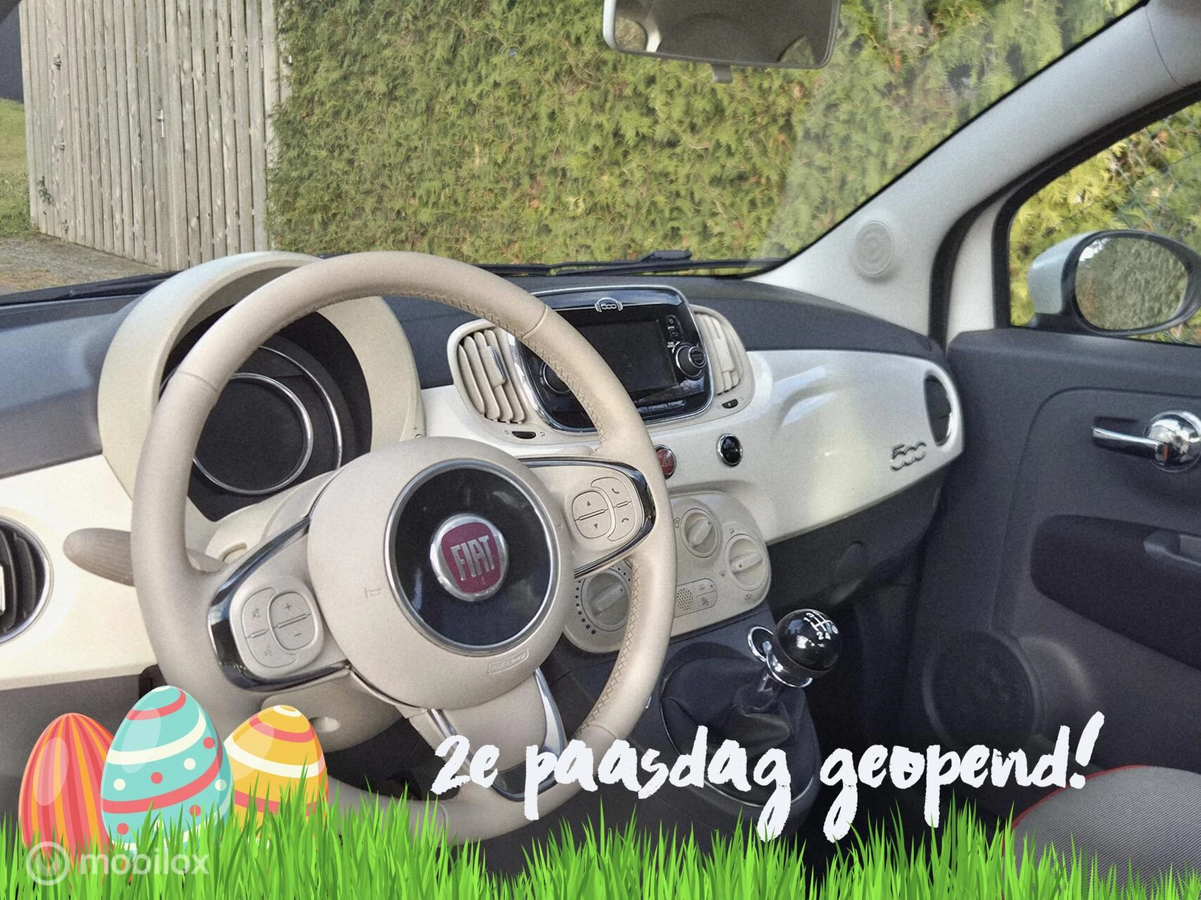 Hoofdafbeelding Fiat 500