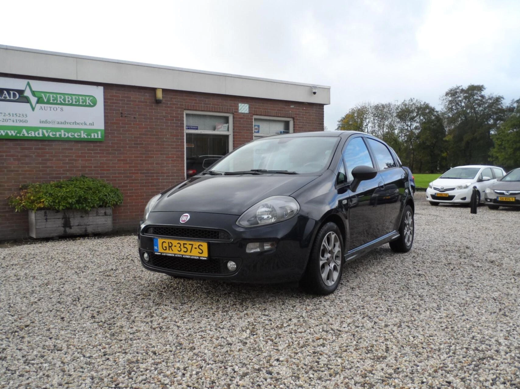 Hoofdafbeelding Fiat Punto