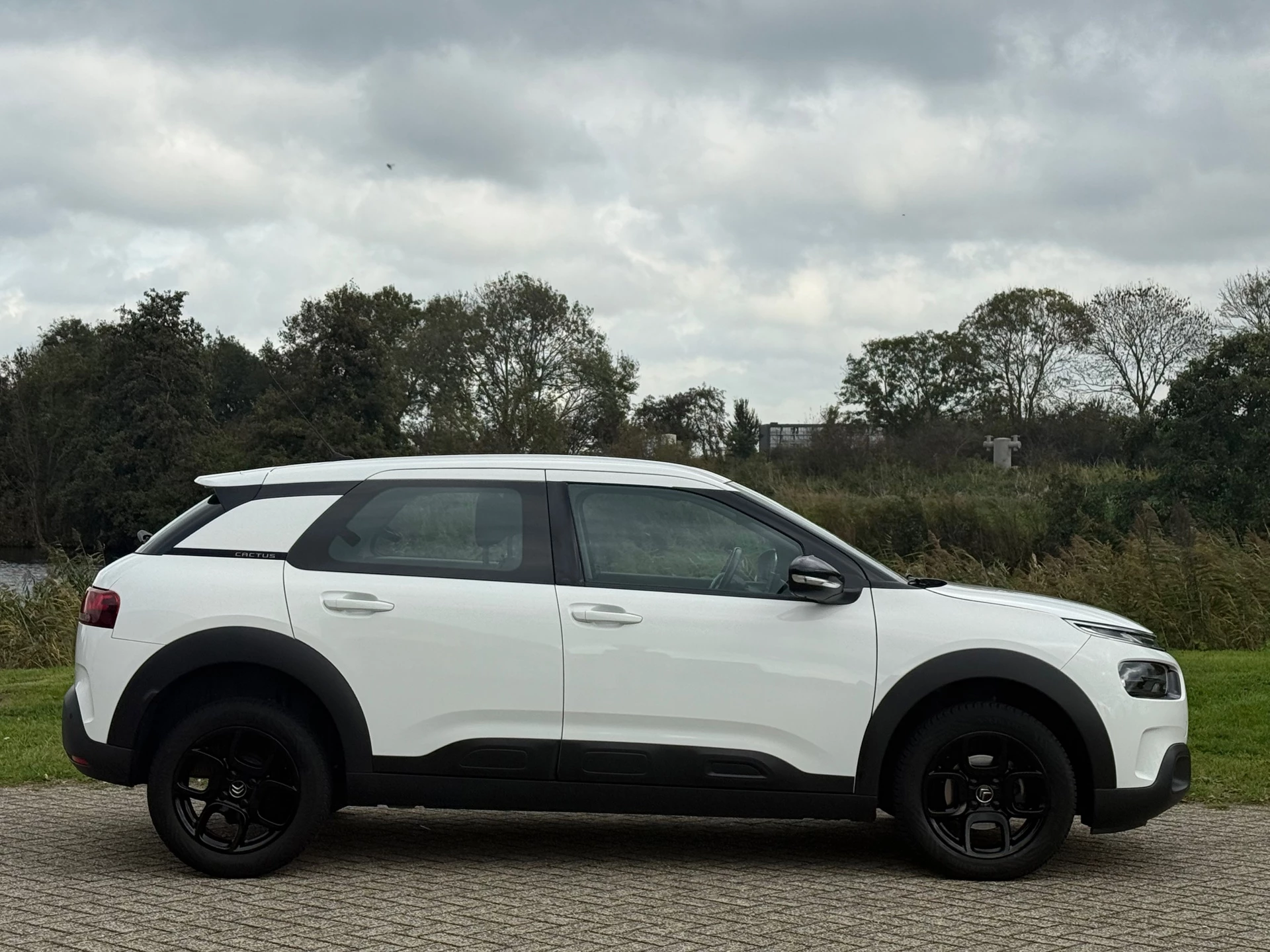 Hoofdafbeelding Citroën C4 Cactus