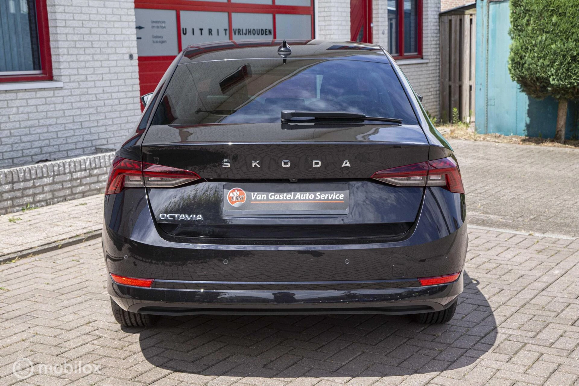 Hoofdafbeelding Škoda Octavia