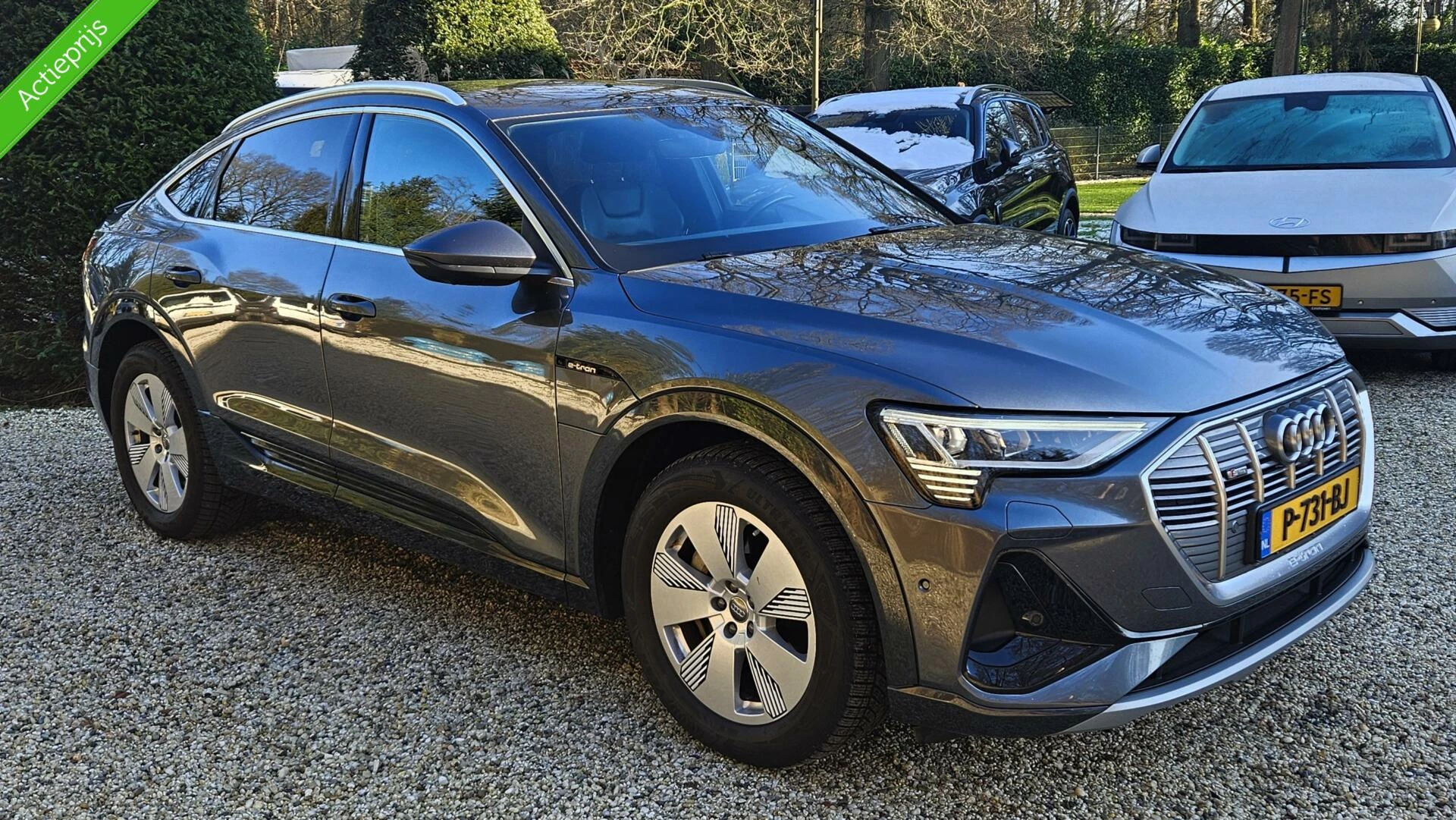 Hoofdafbeelding Audi e-tron