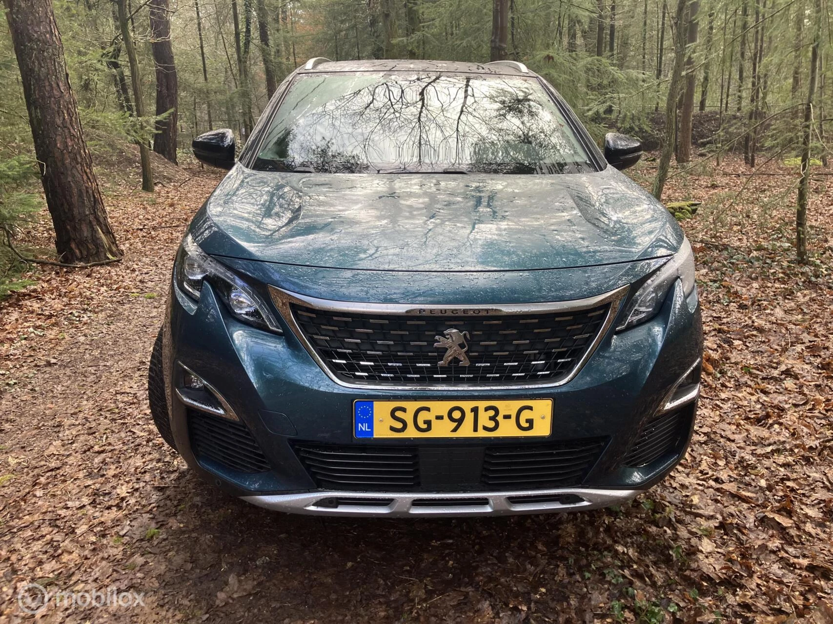 Hoofdafbeelding Peugeot 5008