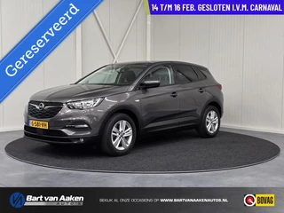 Opel Grandland X 1.2 Turbo Apple/Android Navigatie Winterpack
