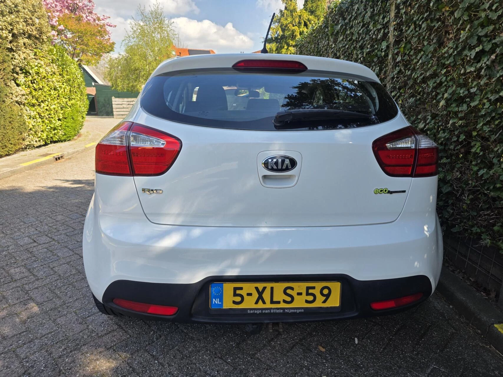 Hoofdafbeelding Kia Rio