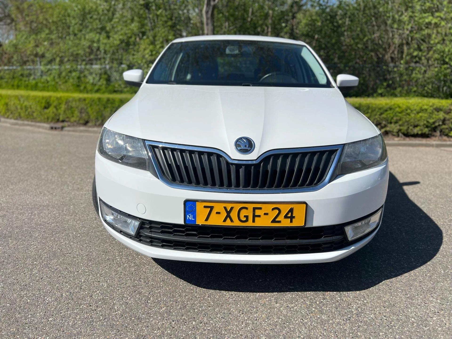 Hoofdafbeelding Škoda Rapid