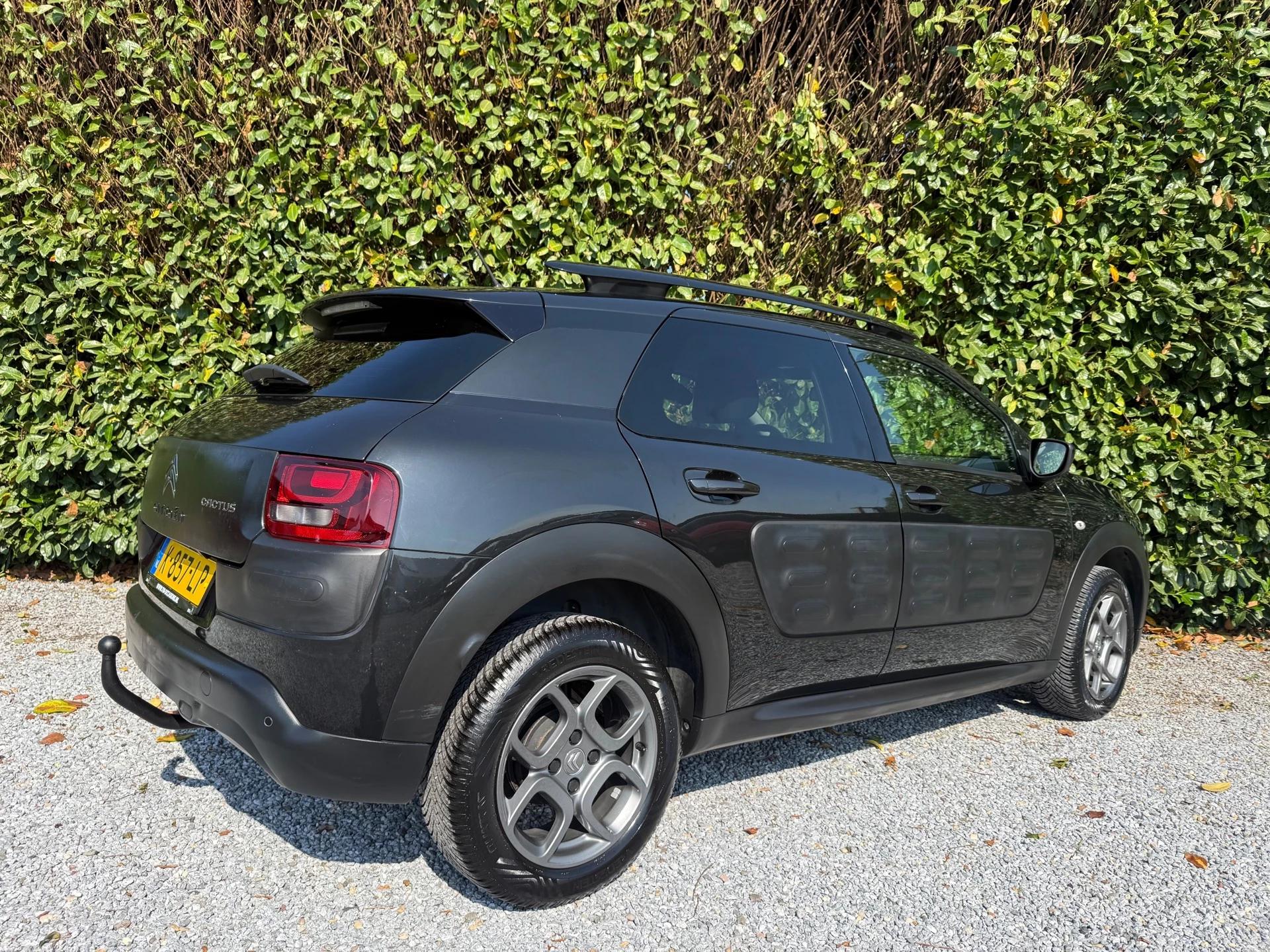 Hoofdafbeelding Citroën C4 Cactus