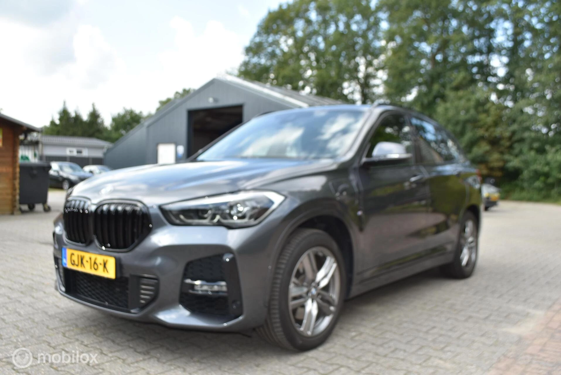 Hoofdafbeelding BMW X1