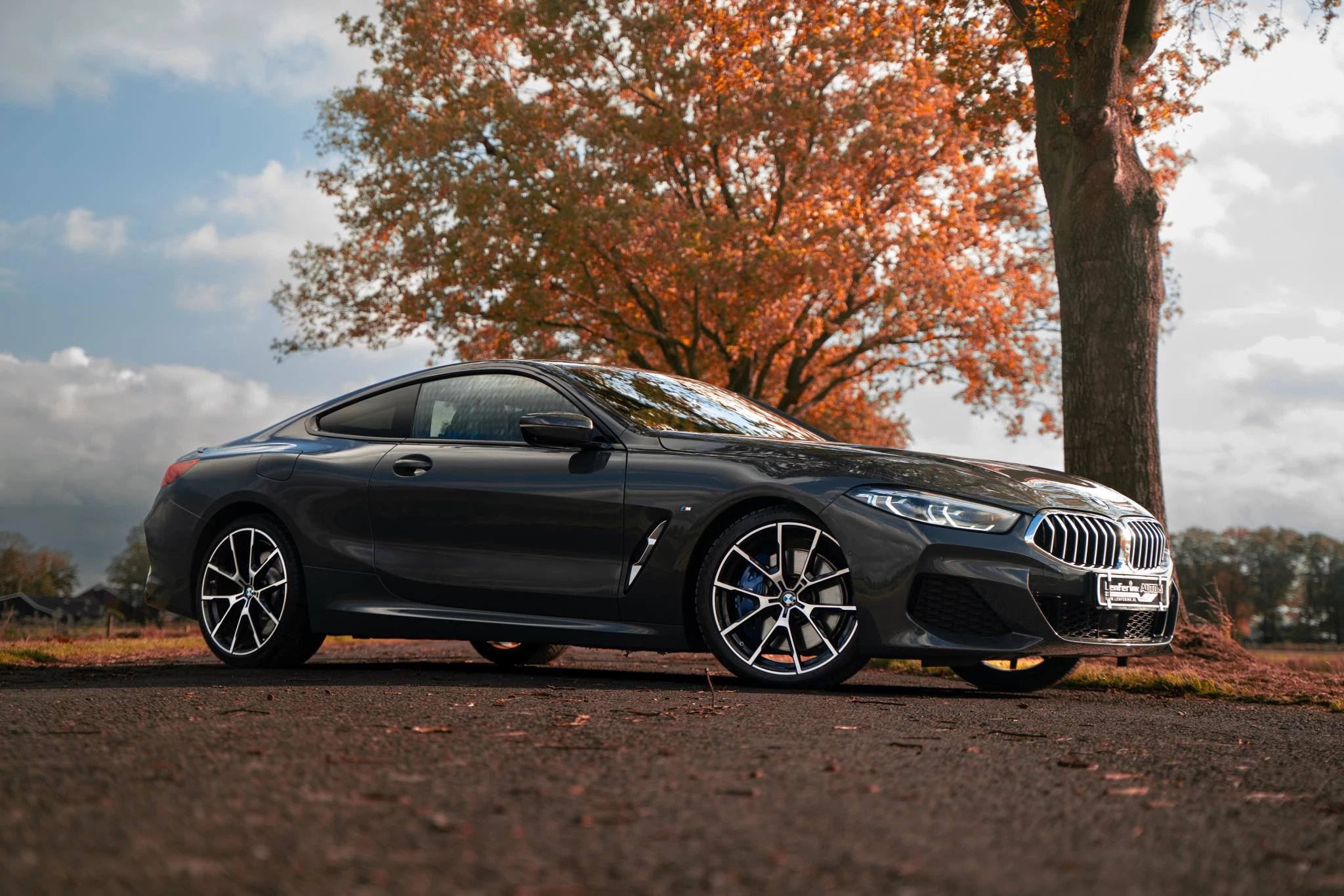 Hoofdafbeelding BMW 8 Serie