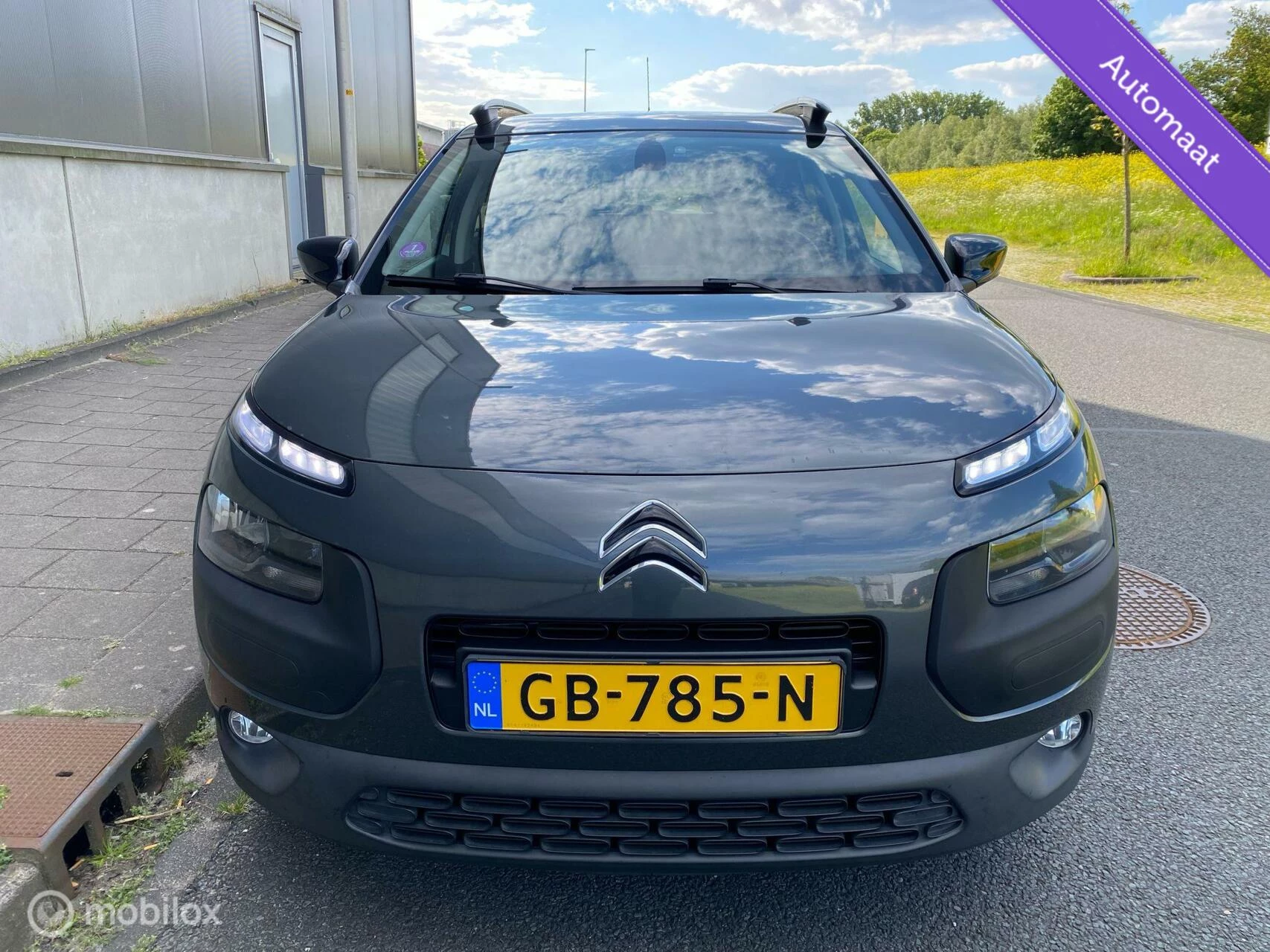 Hoofdafbeelding Citroën C4 Cactus