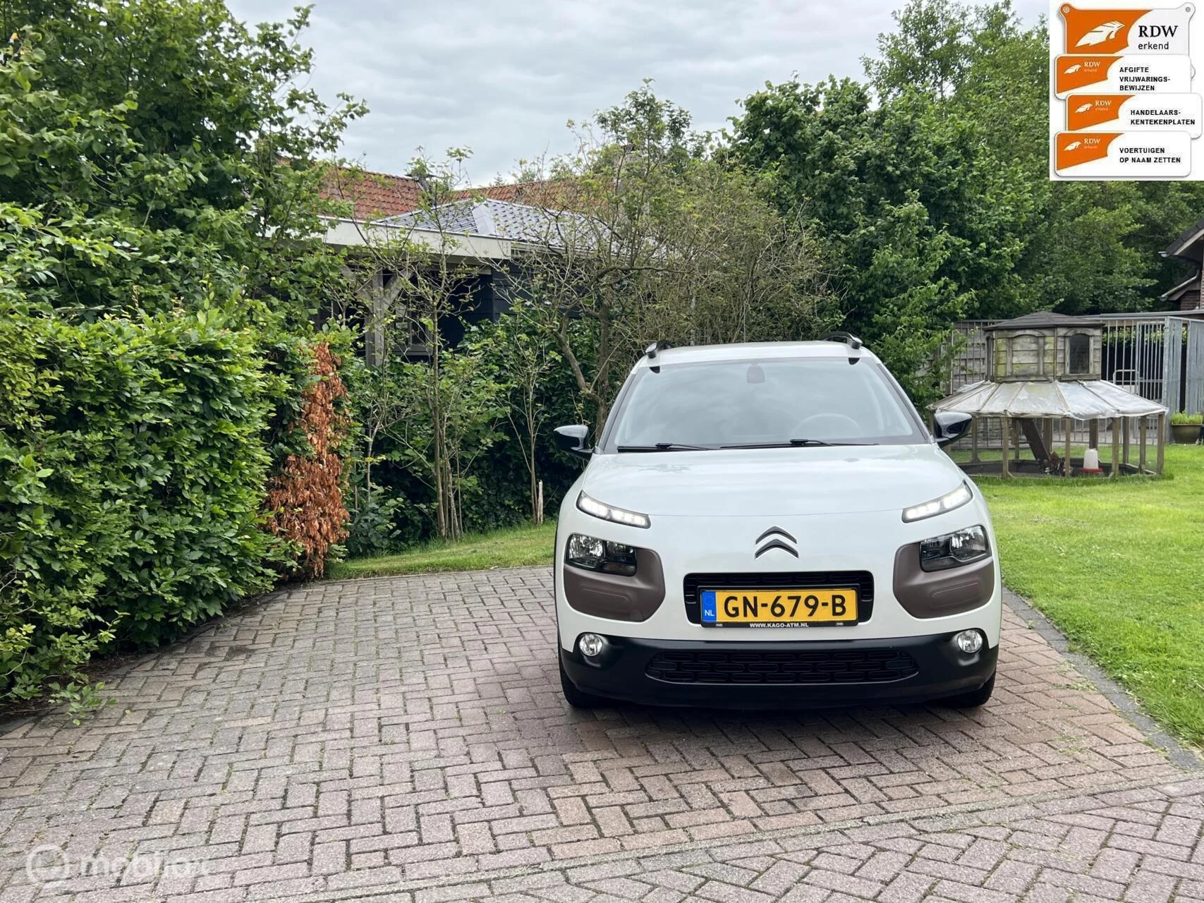 Hoofdafbeelding Citroën C4 Cactus