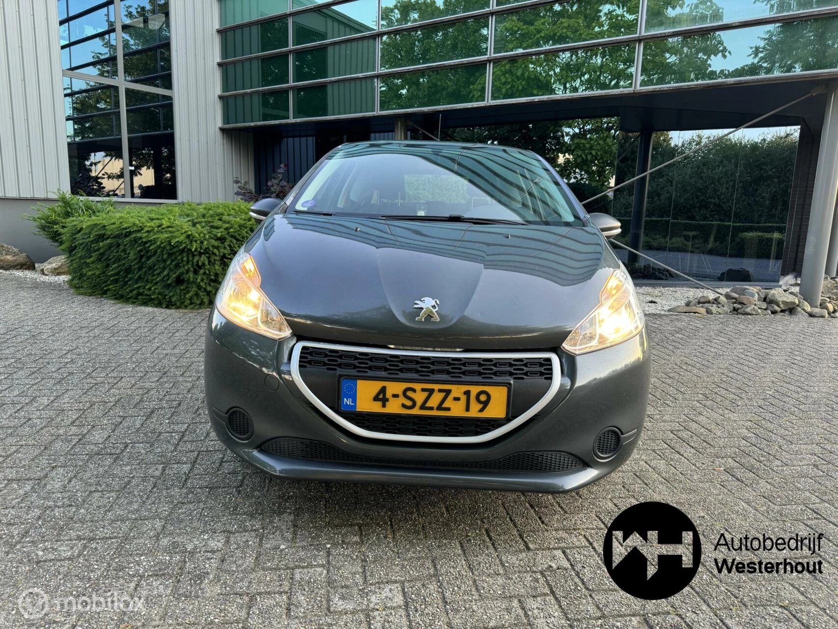 Hoofdafbeelding Peugeot 208