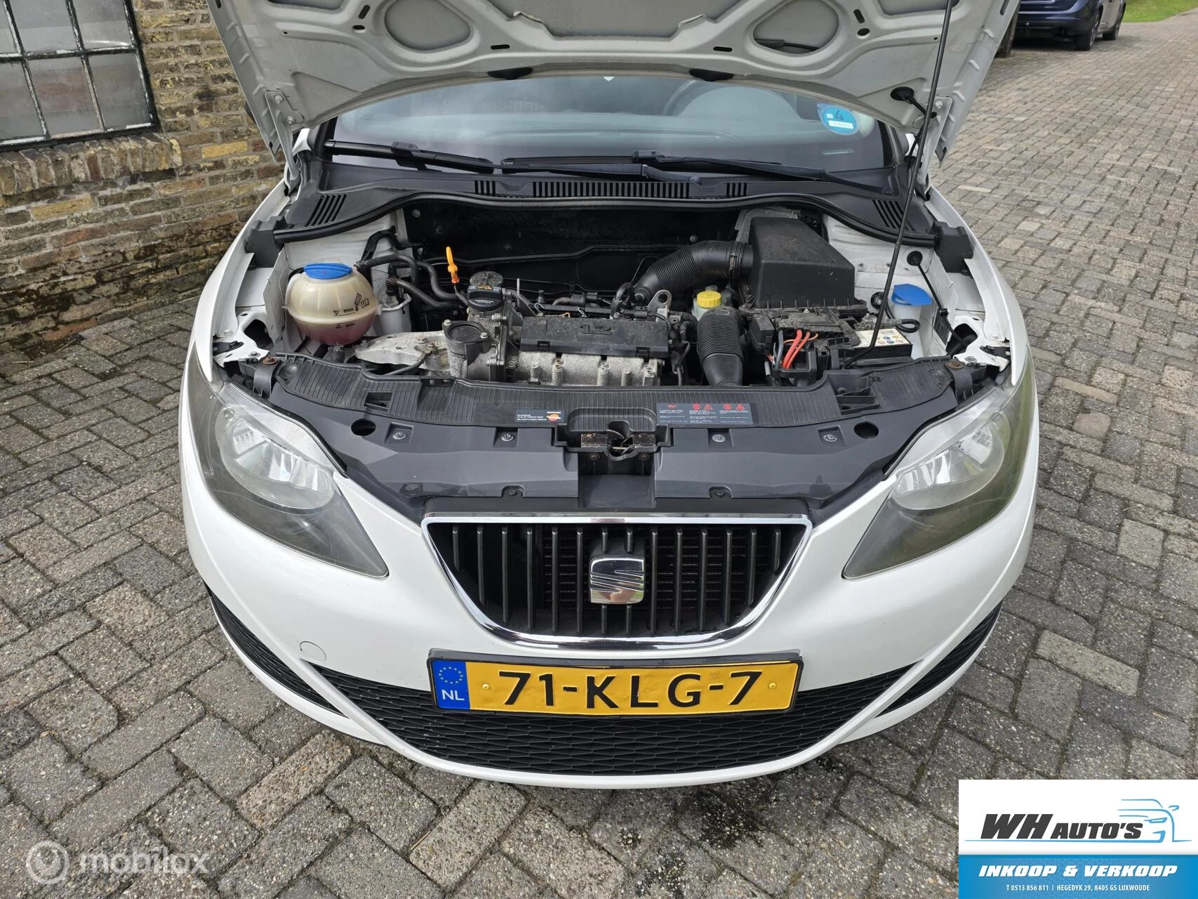 Hoofdafbeelding SEAT Ibiza