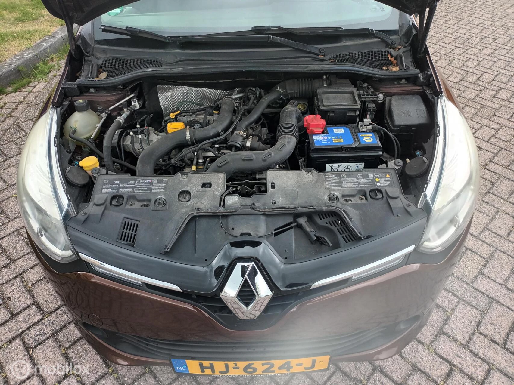 Hoofdafbeelding Renault Clio