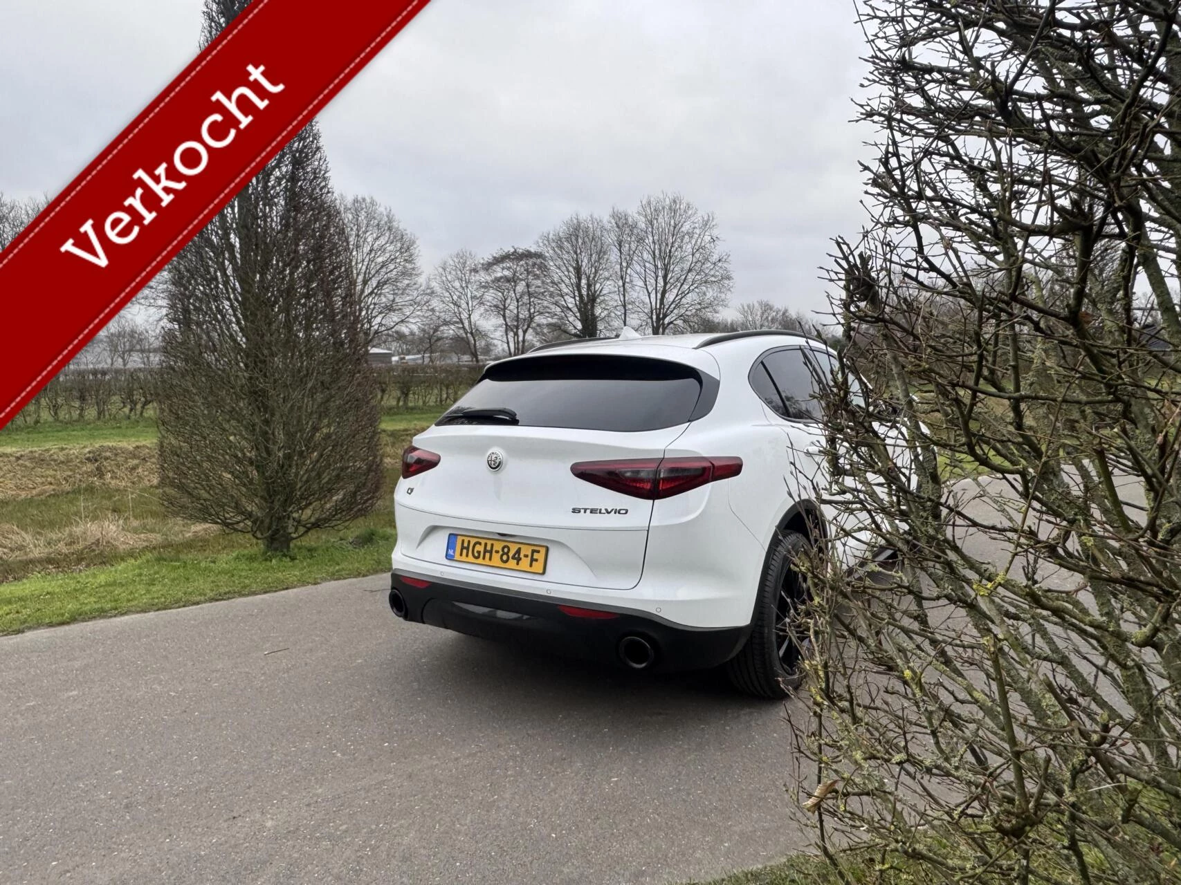 Hoofdafbeelding Alfa Romeo Stelvio