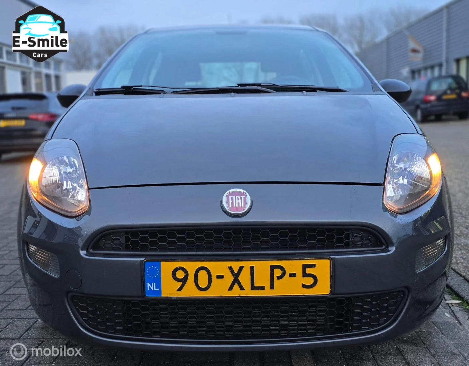 Hoofdafbeelding Fiat Punto