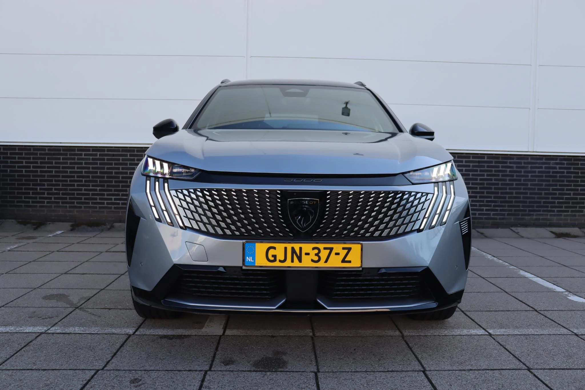 Hoofdafbeelding Peugeot e-5008