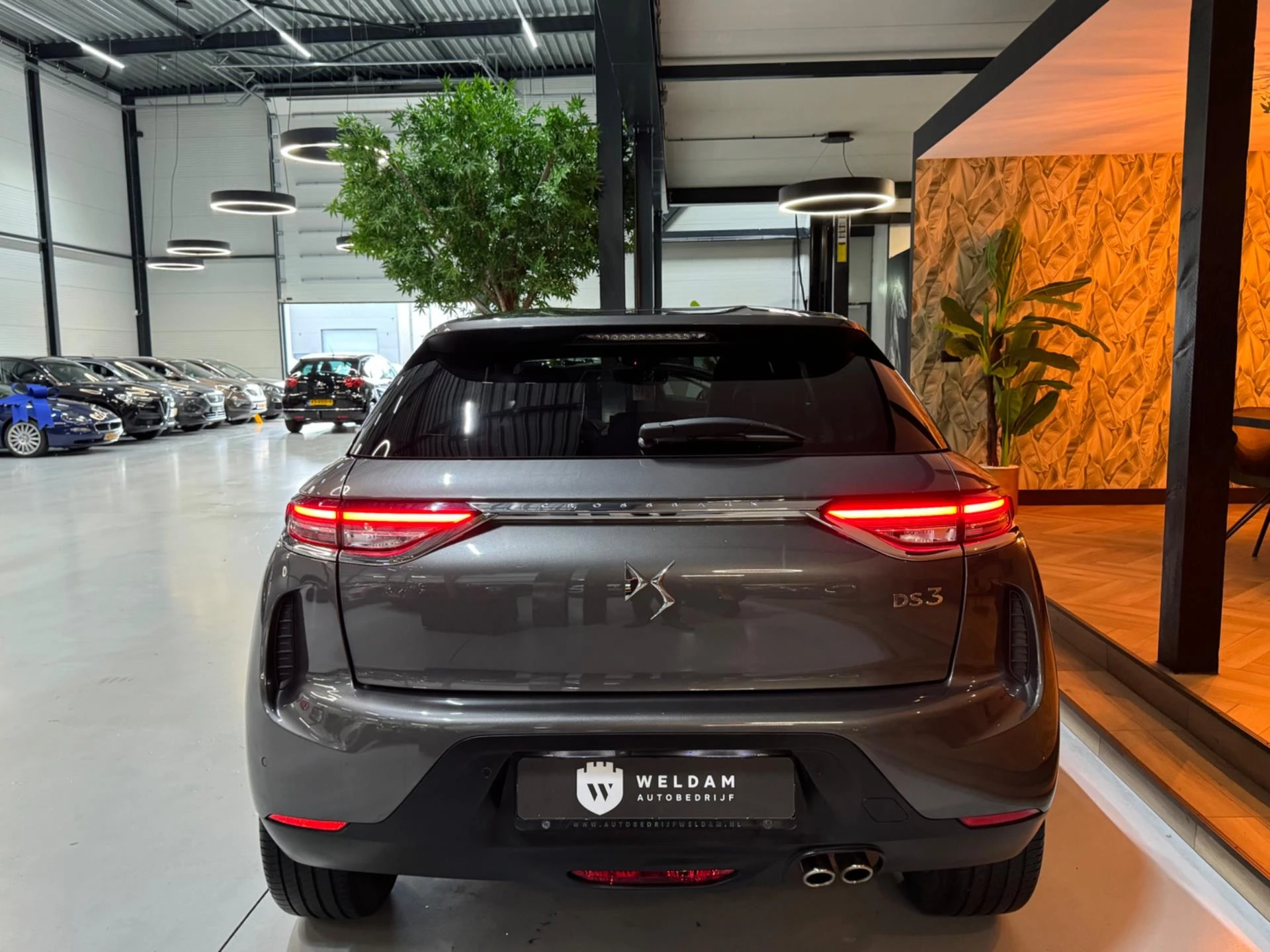Hoofdafbeelding DS DS 3