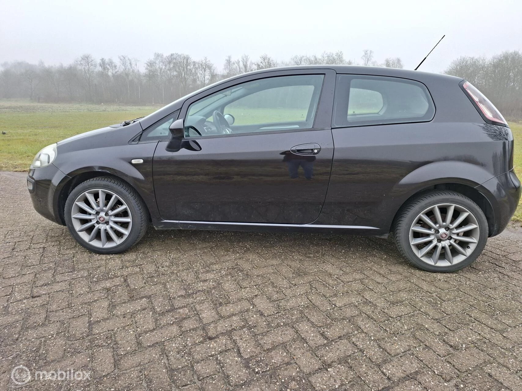 Hoofdafbeelding Fiat Punto