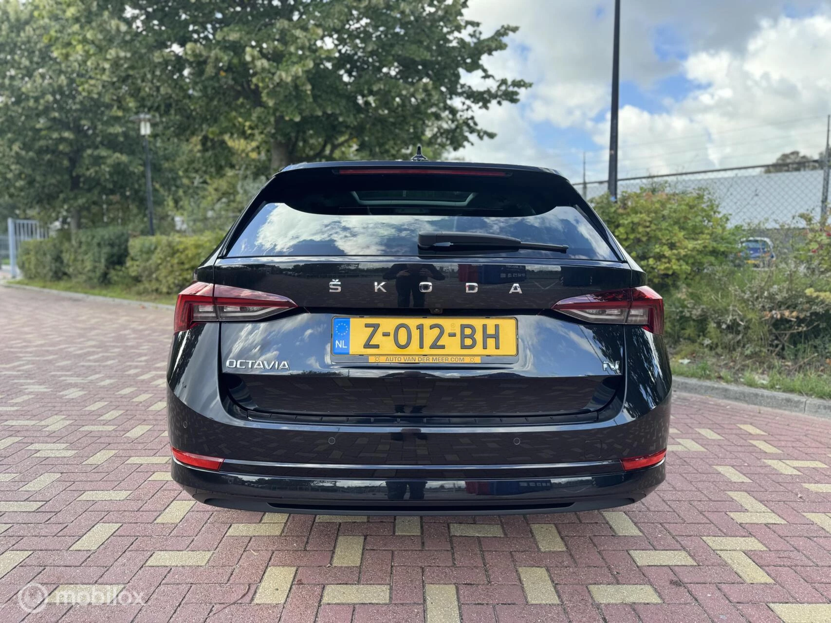 Hoofdafbeelding Škoda Octavia