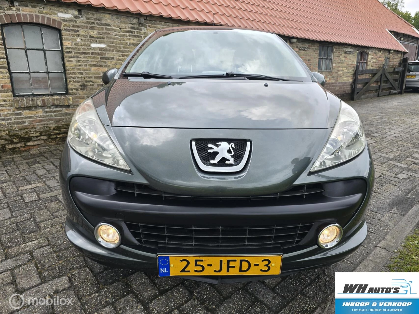 Hoofdafbeelding Peugeot 207