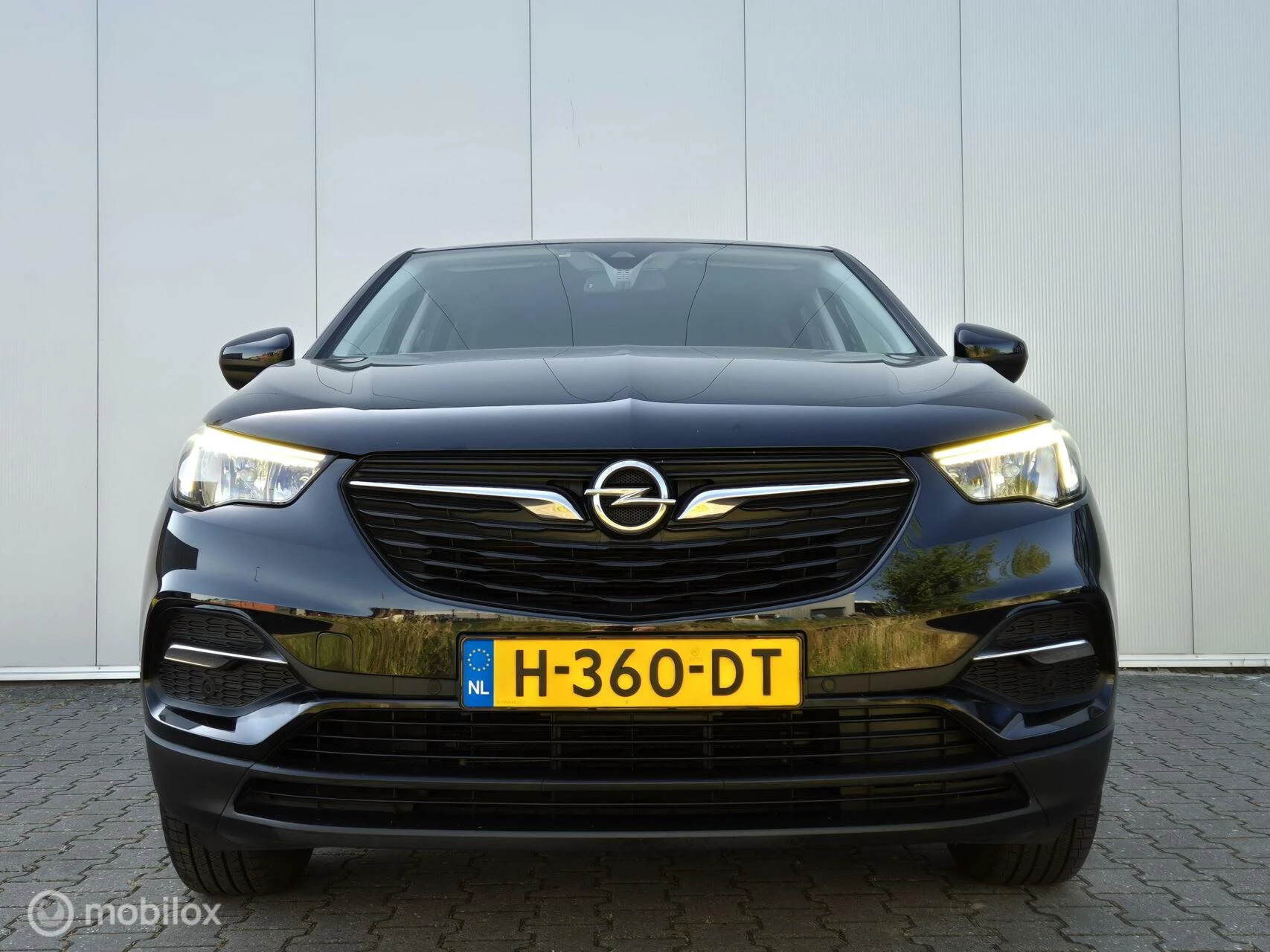 Hoofdafbeelding Opel Grandland X