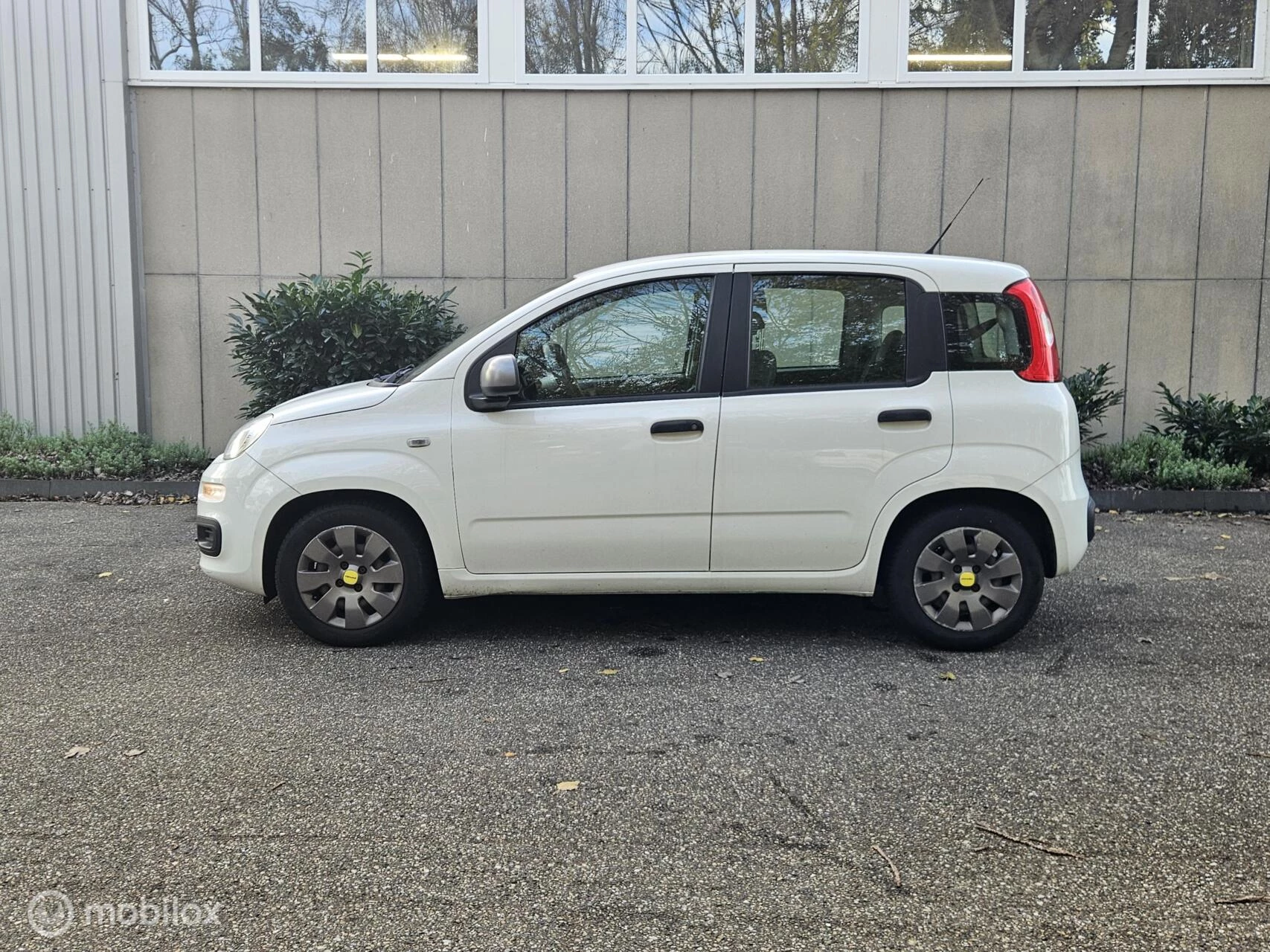 Hoofdafbeelding Fiat Panda